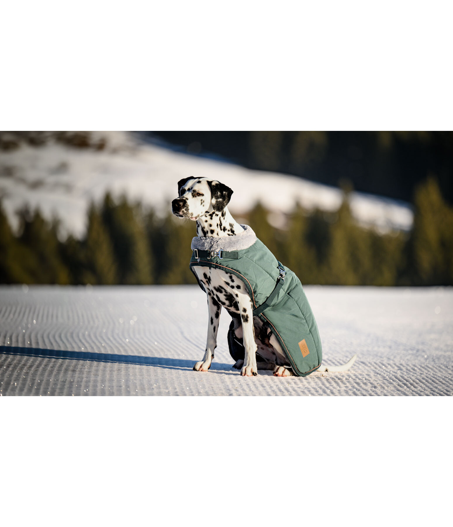 Manteau d'hiver pour chien avec doublure en fourrure Teddy  Gizmo, 200 g