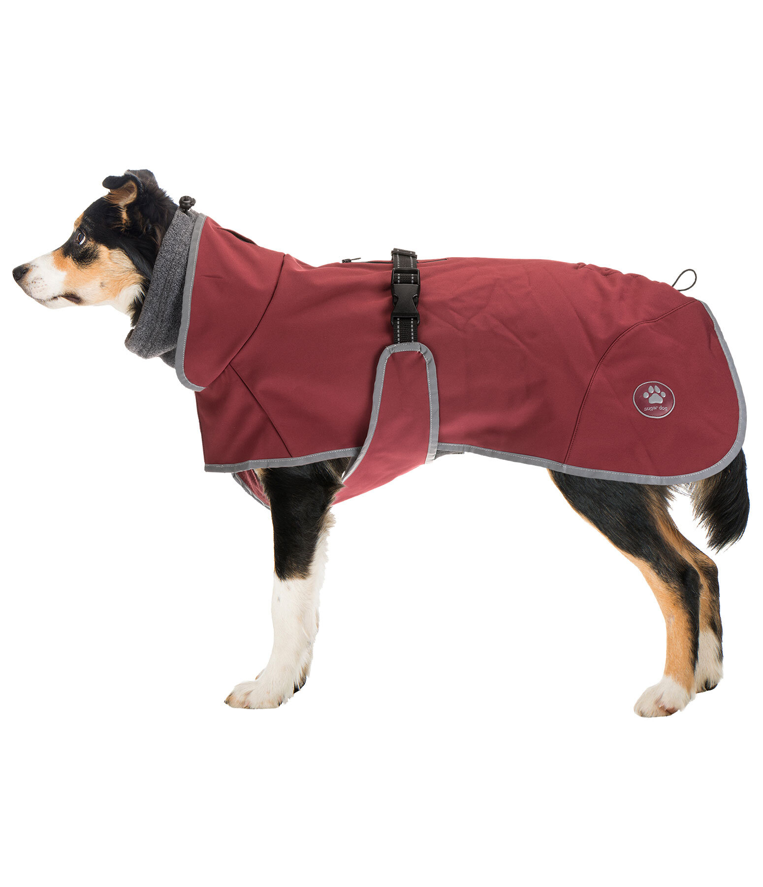 Manteau pour chien softshell avec col polaire  Frida