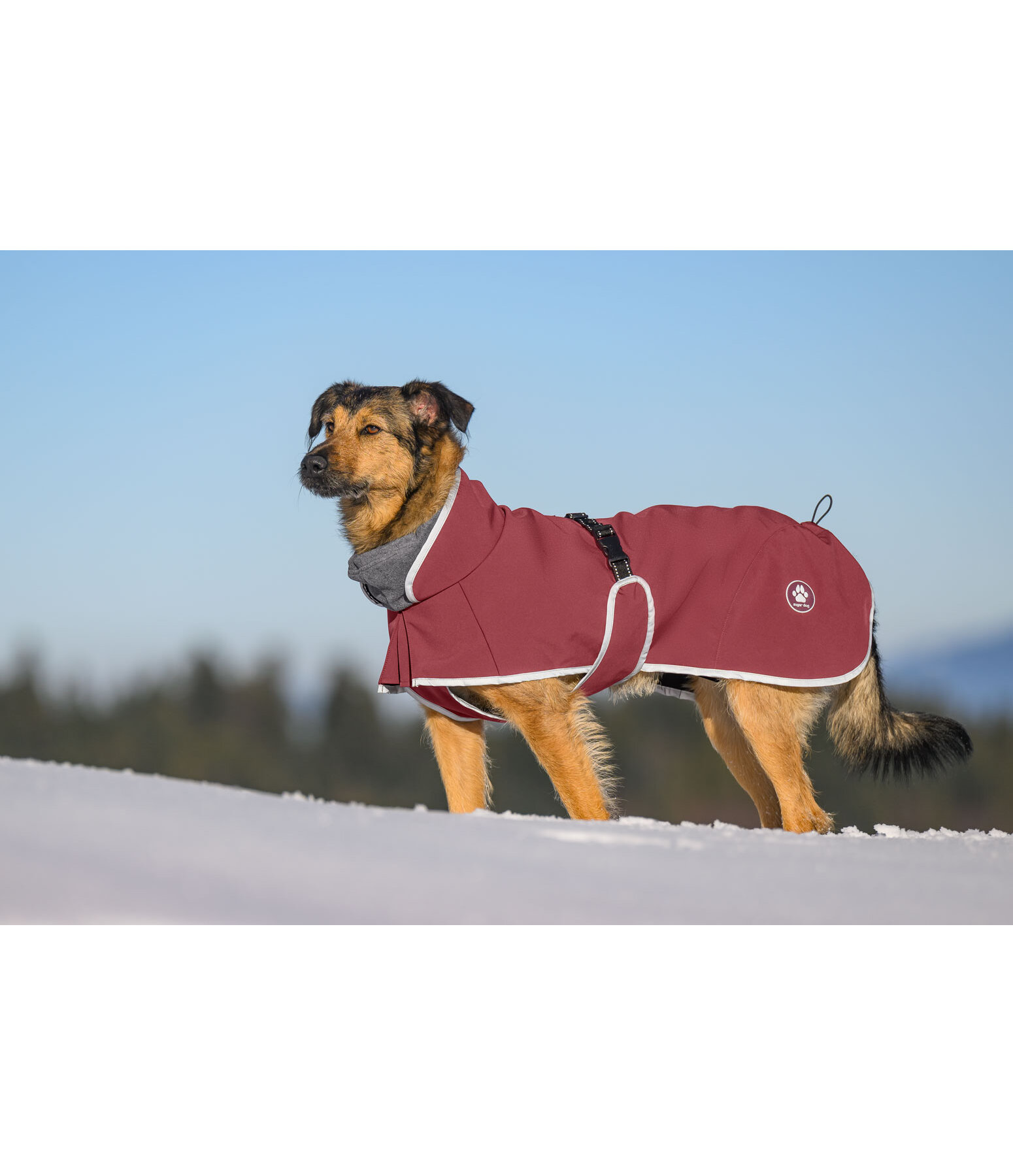 Manteau pour chien softshell avec col polaire  Frida