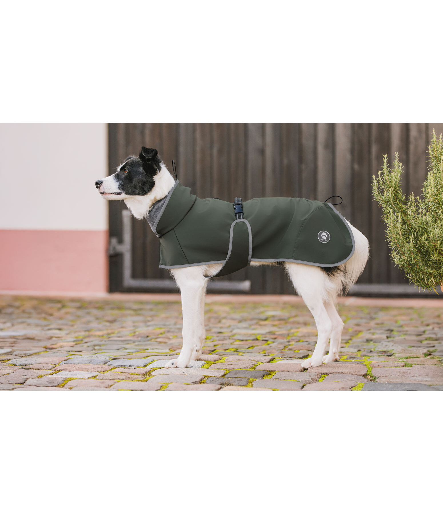 Manteau pour chien softshell avec col polaire  Frida