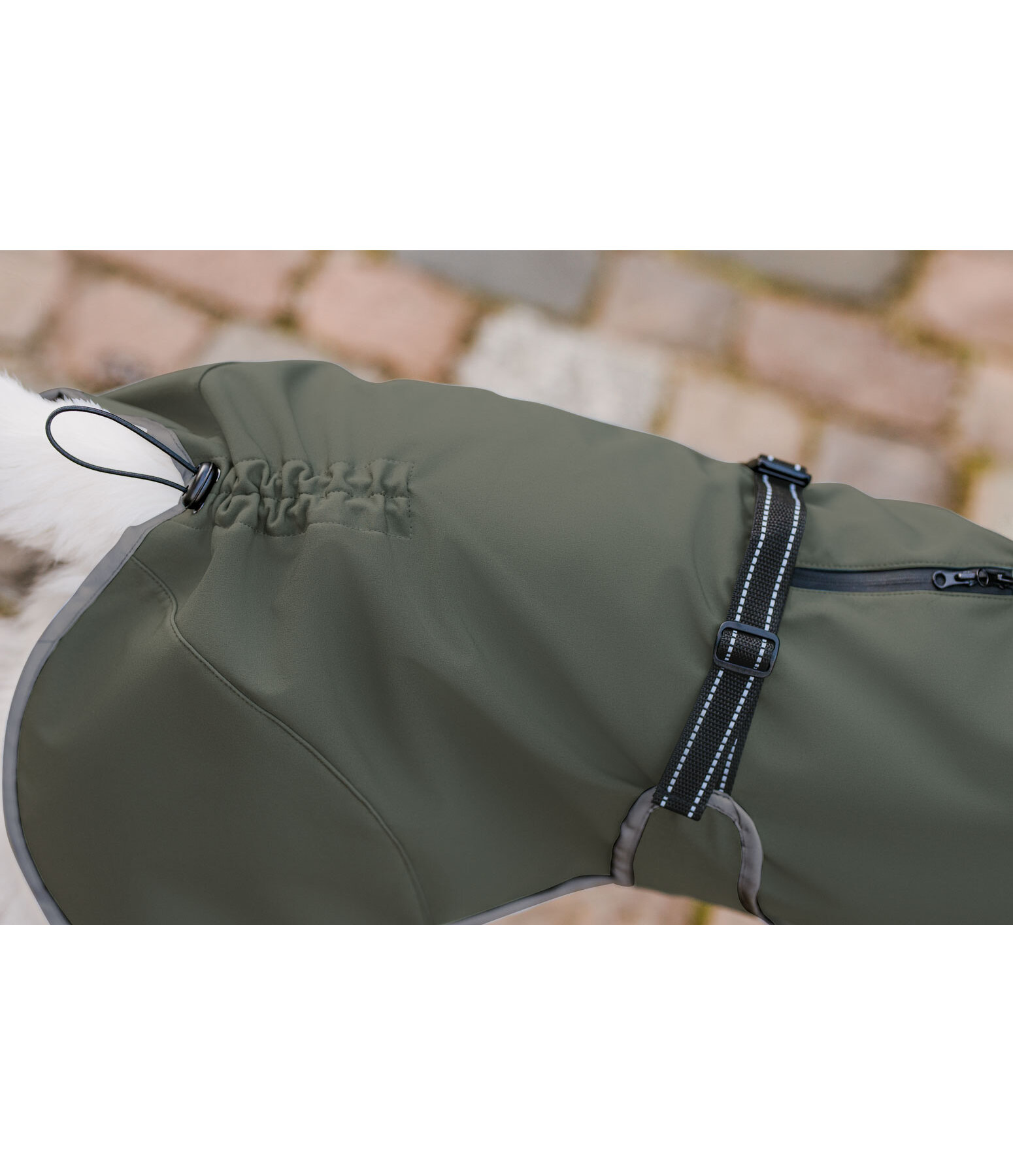 Manteau pour chien softshell avec col polaire  Frida