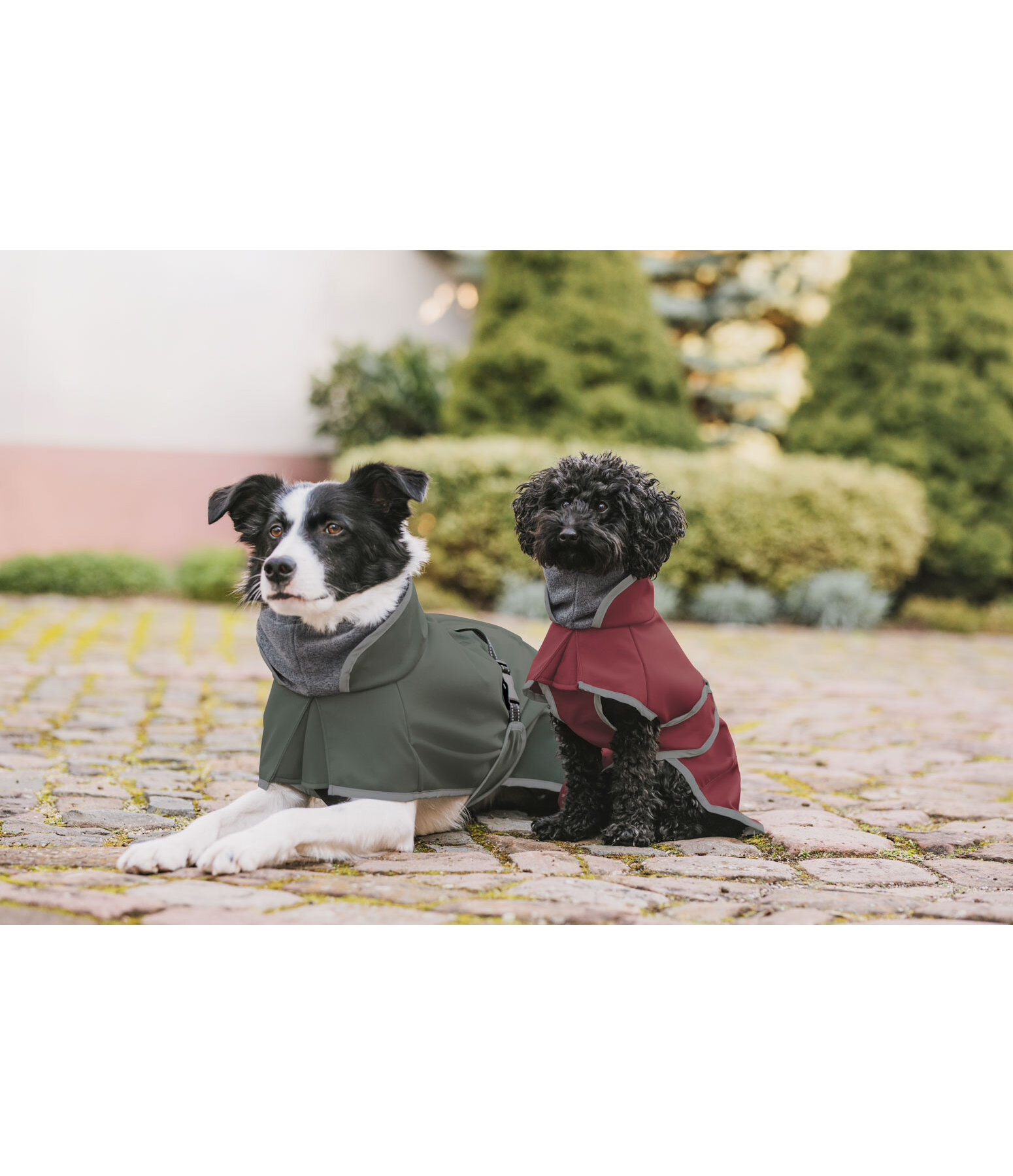 Manteau pour chien softshell avec col polaire  Frida