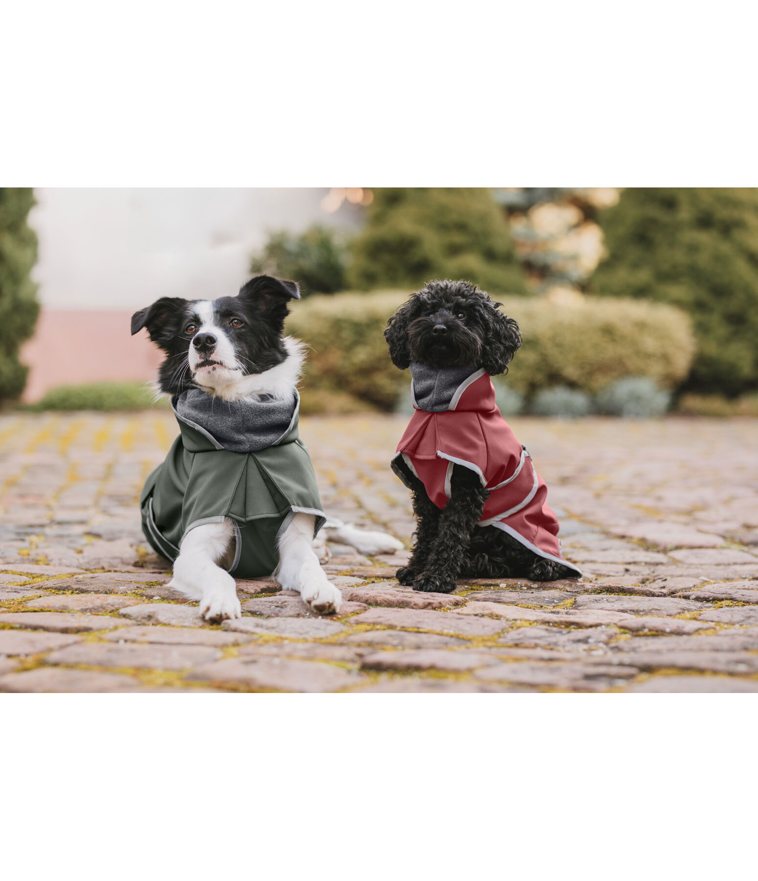 Manteau pour chien softshell avec col polaire  Frida