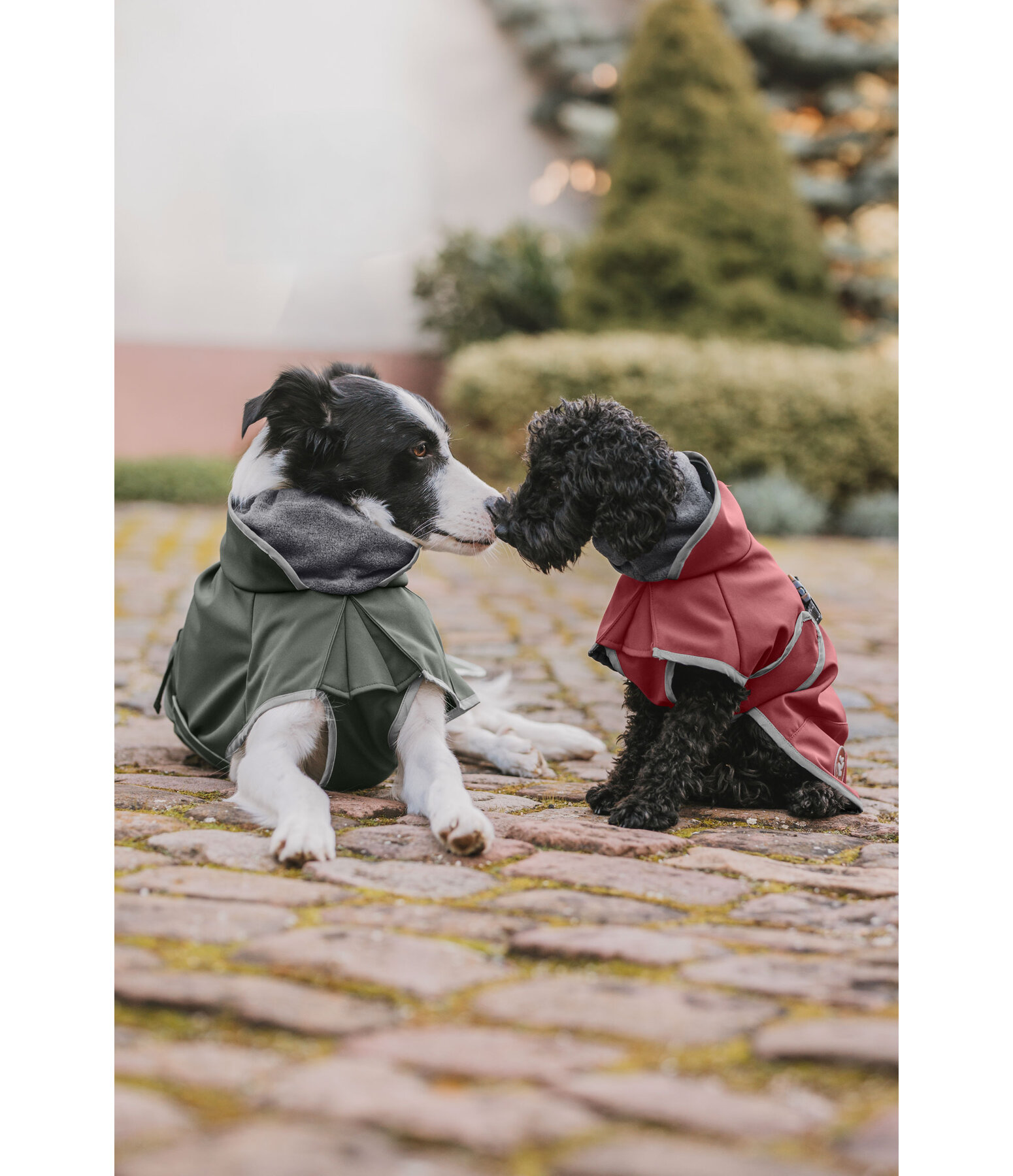 Manteau pour chien softshell avec col polaire  Frida