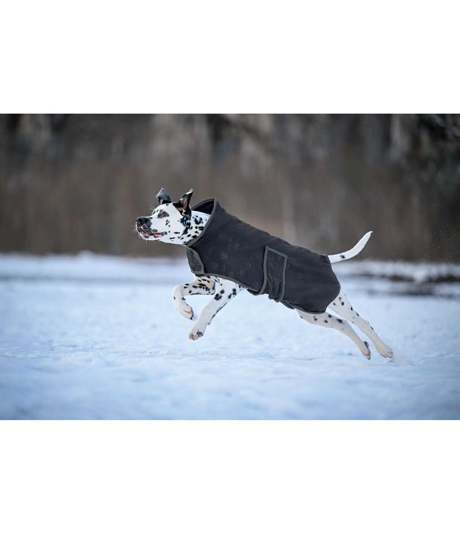 Manteau polaire  Lino