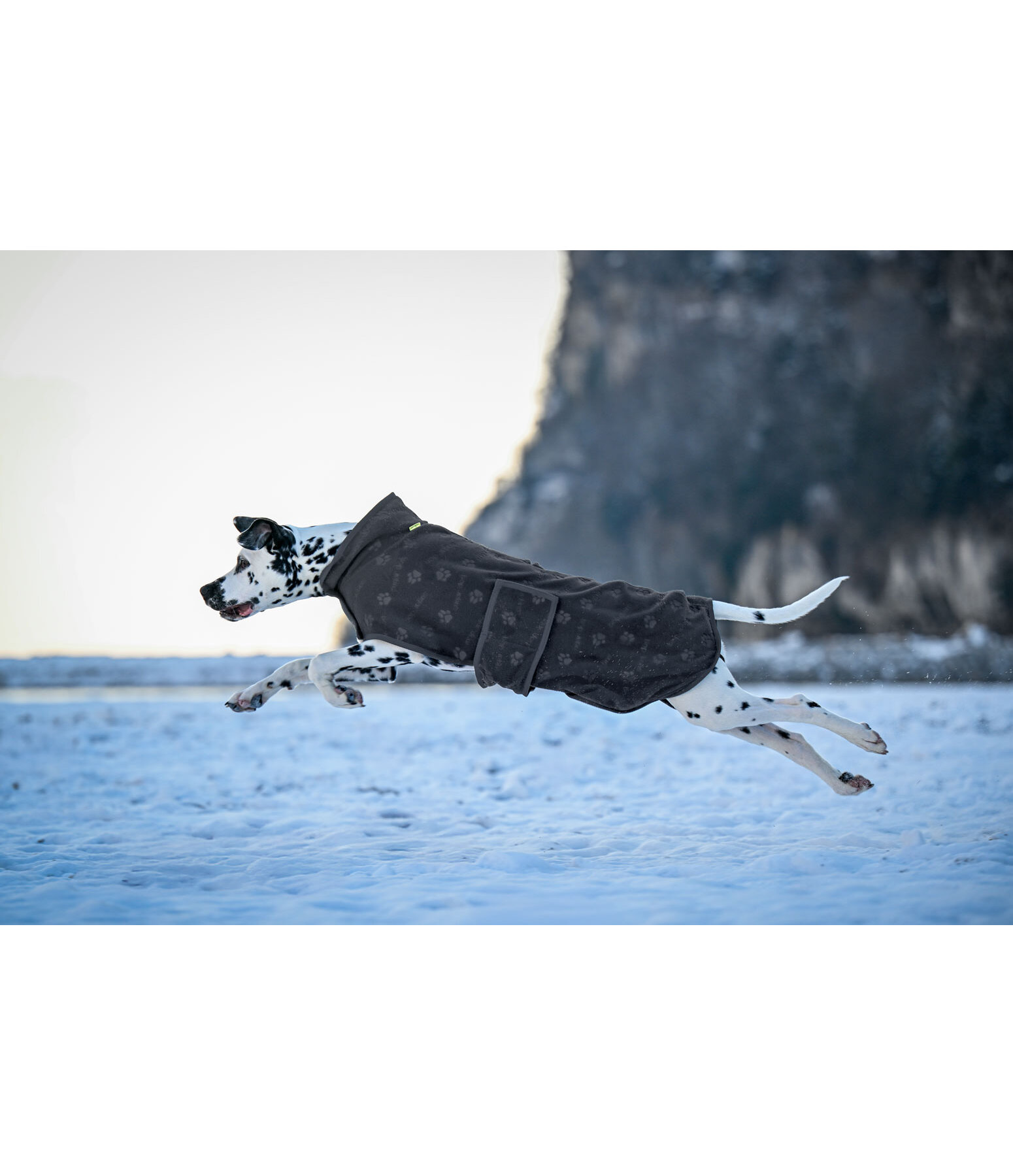 Manteau polaire  Lino