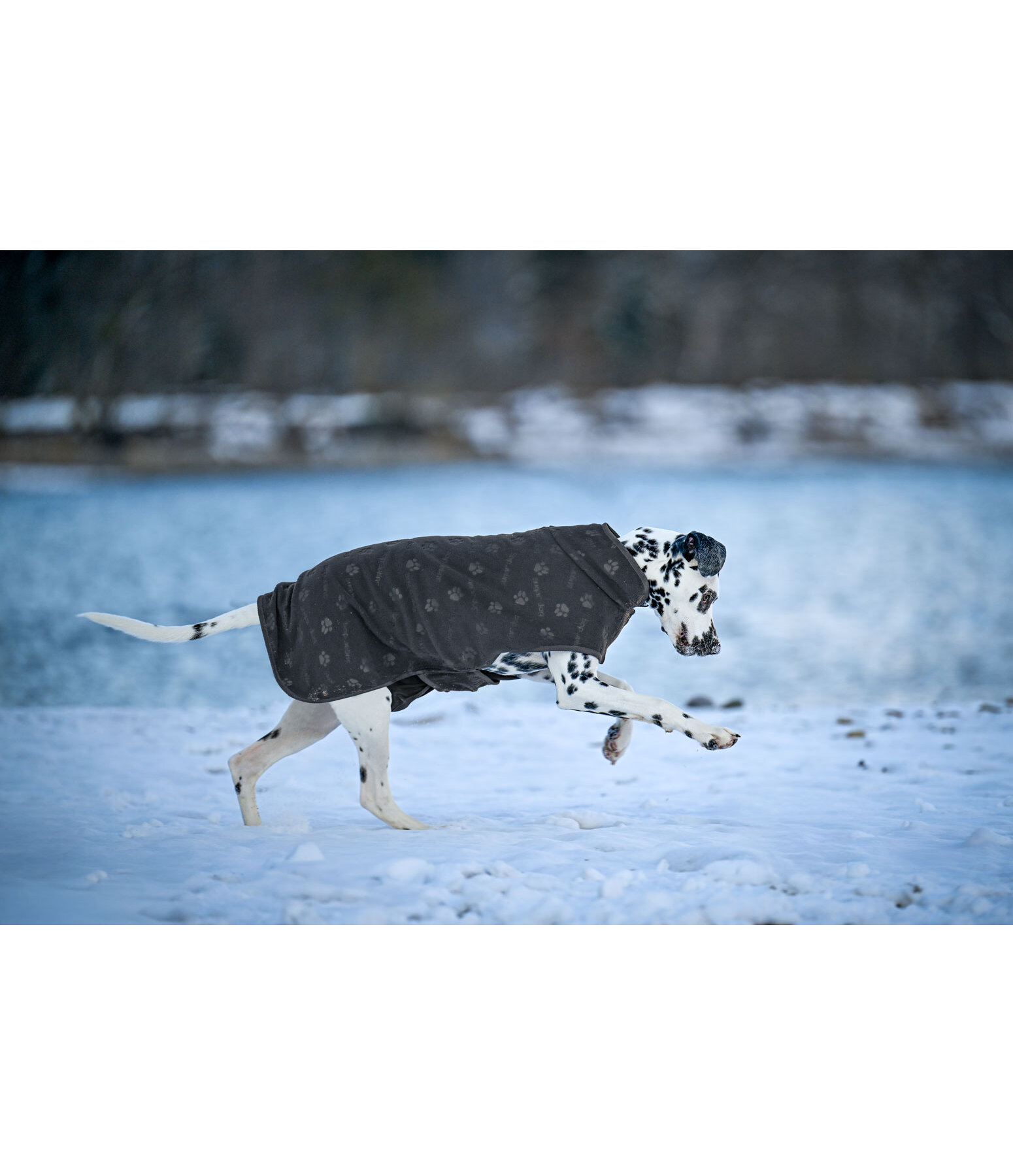 Manteau polaire  Lino