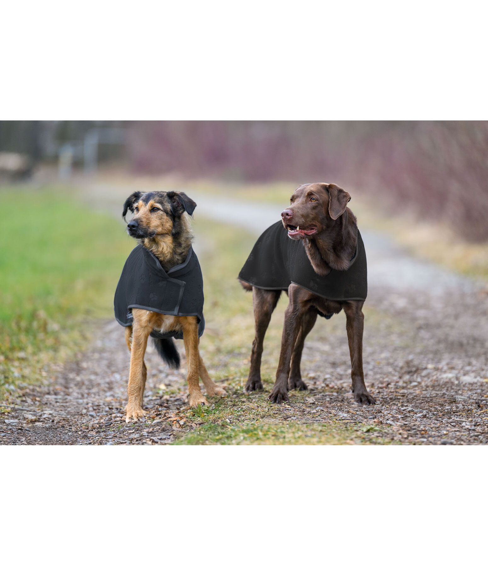 Manteau polaire  Lino