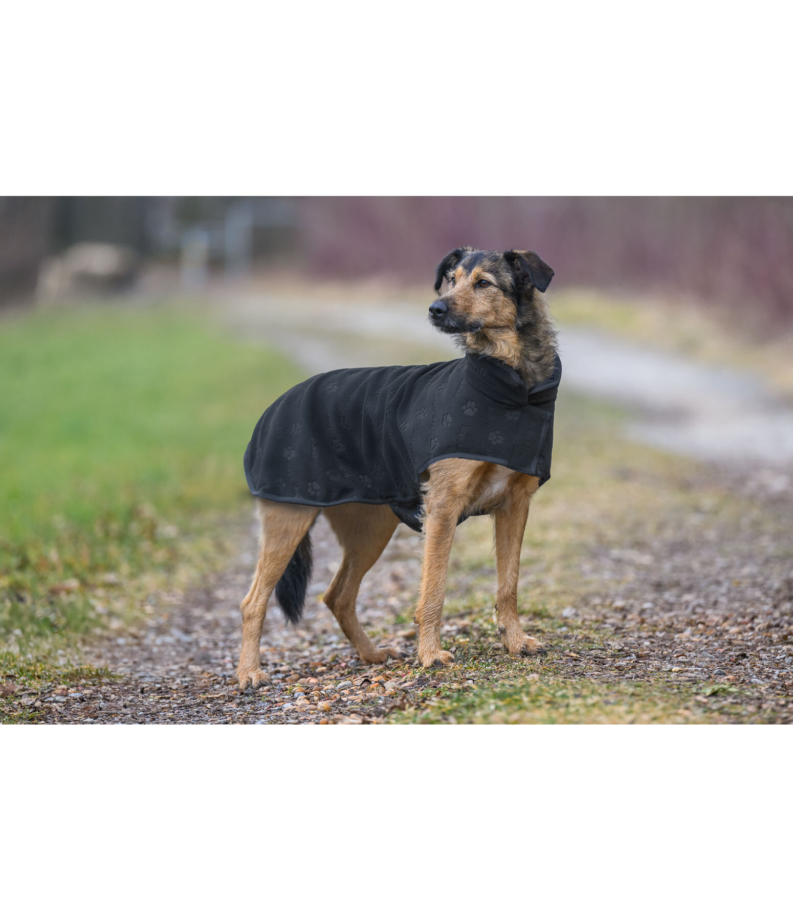 Manteau polaire  Lino