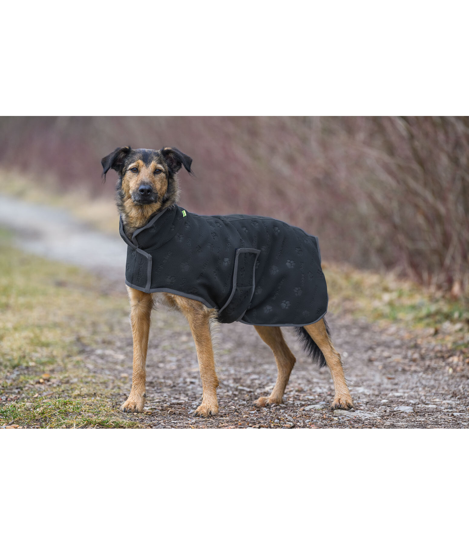 Manteau polaire  Lino