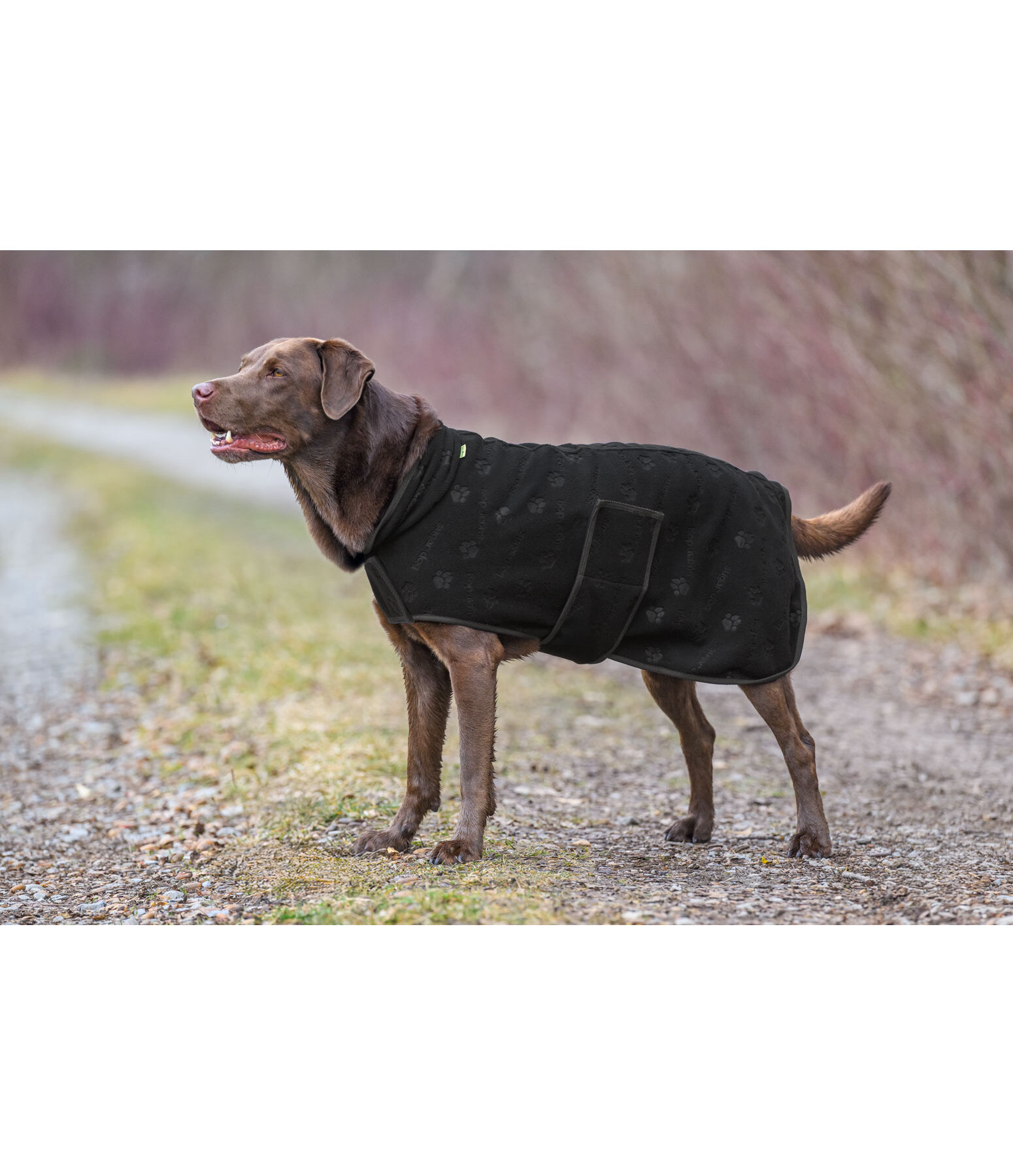 Manteau polaire  Lino