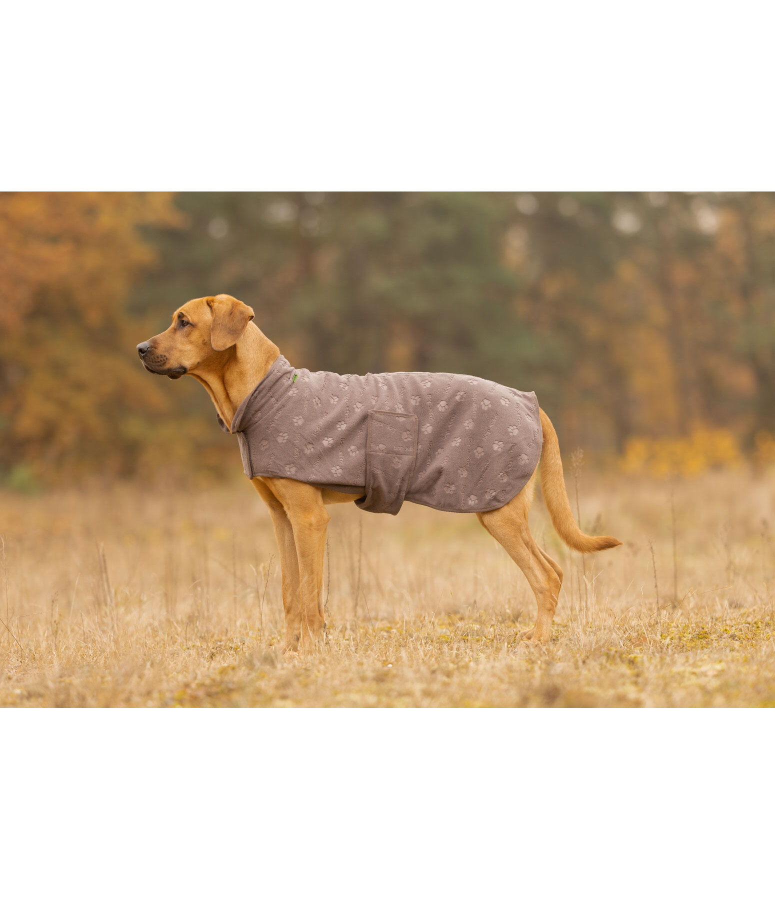 Manteau polaire  Lino