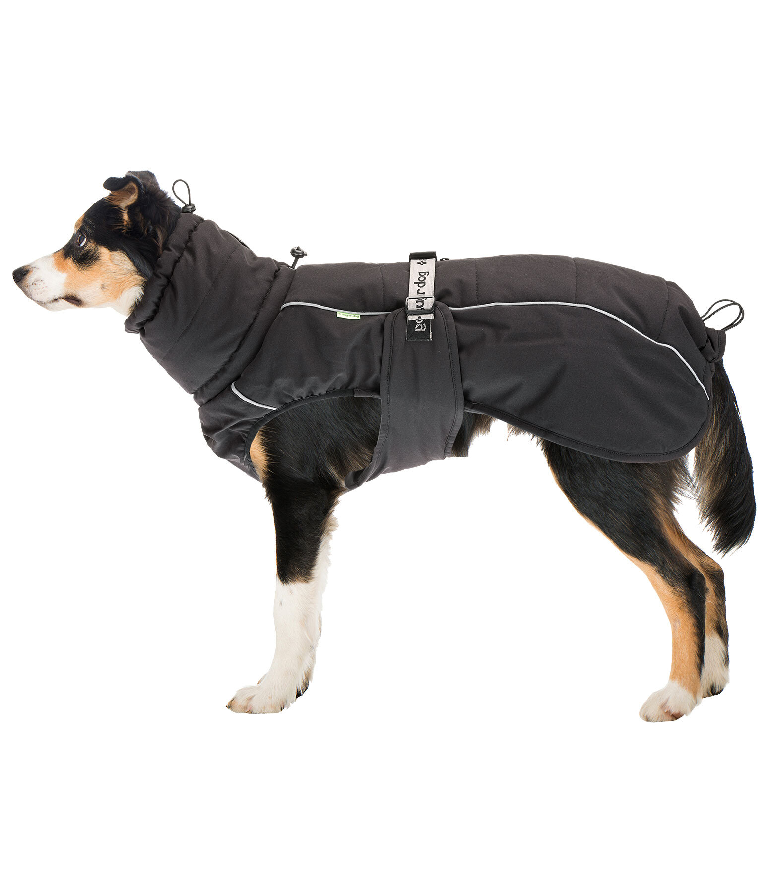 Manteau d'hiver pour chien  Marlon, 200-300 g