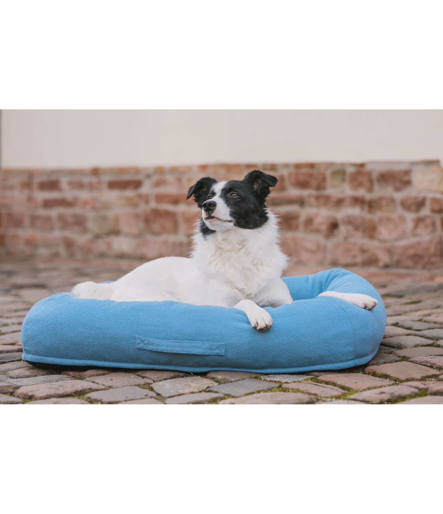 Panier pour chien  Terry