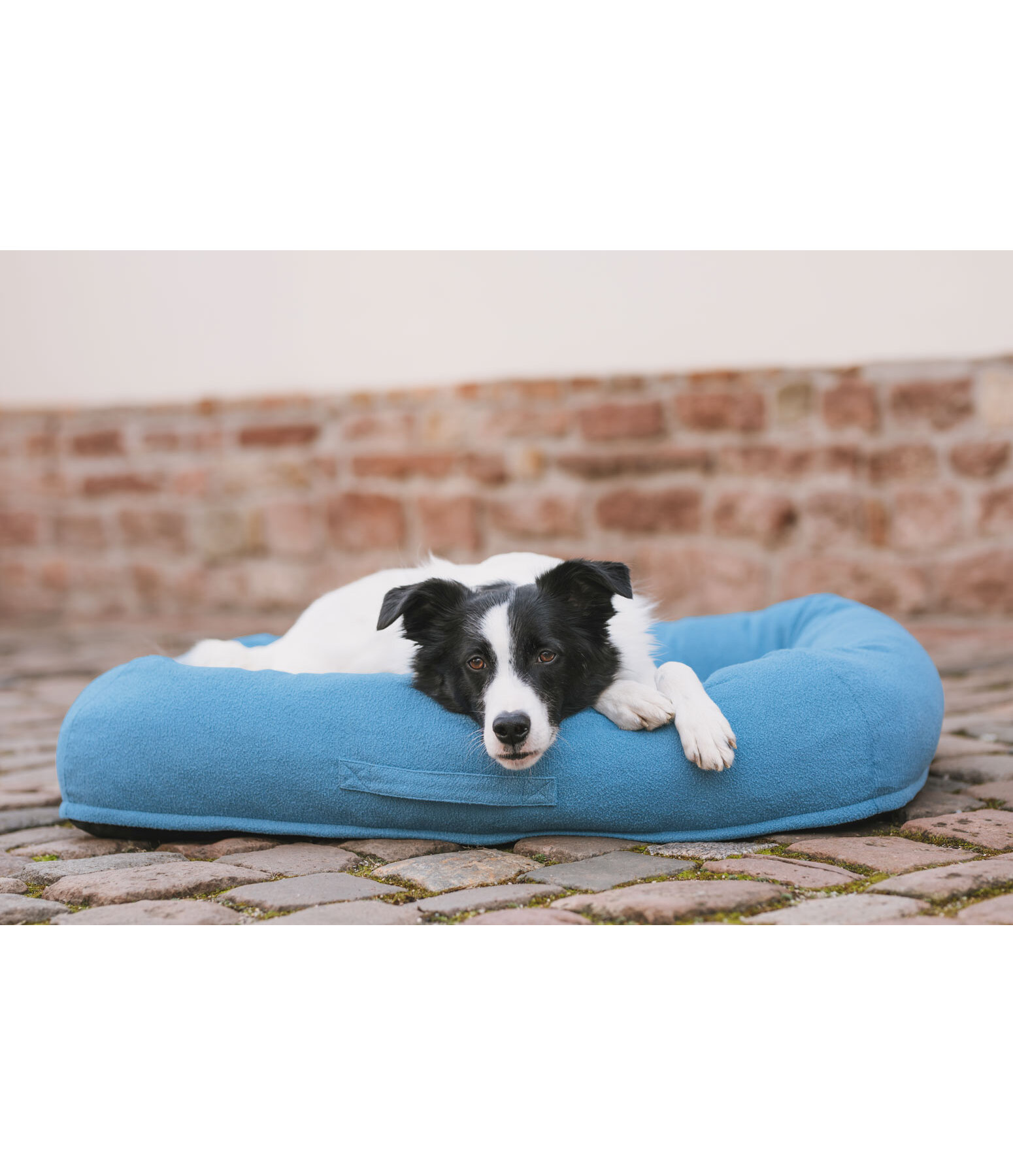 Panier pour chien  Terry