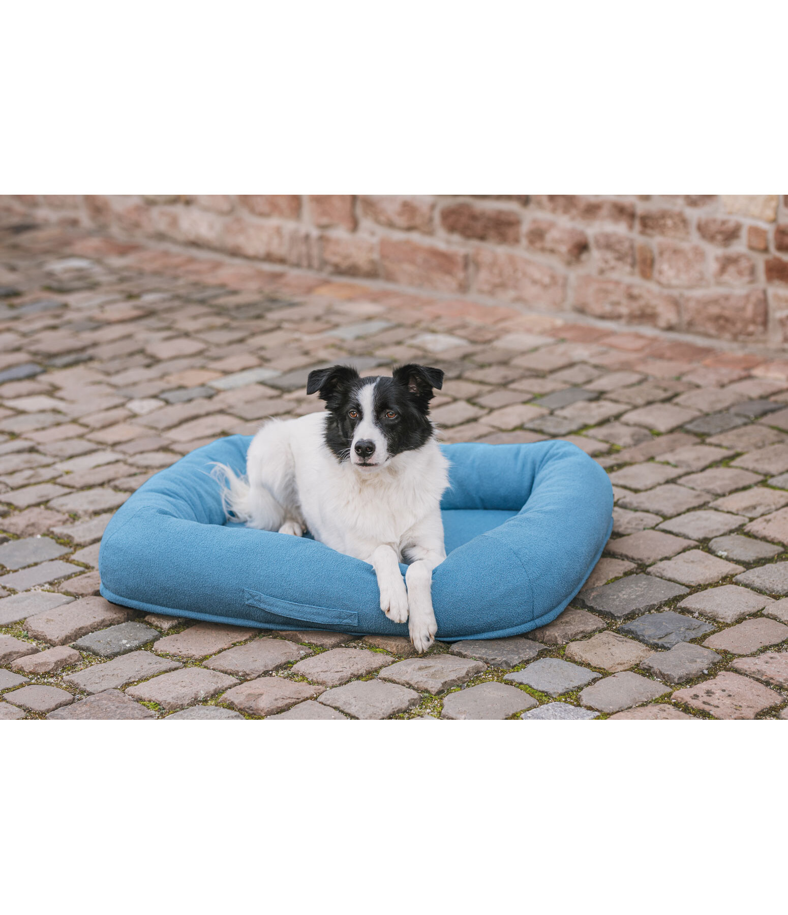 Panier pour chien  Terry