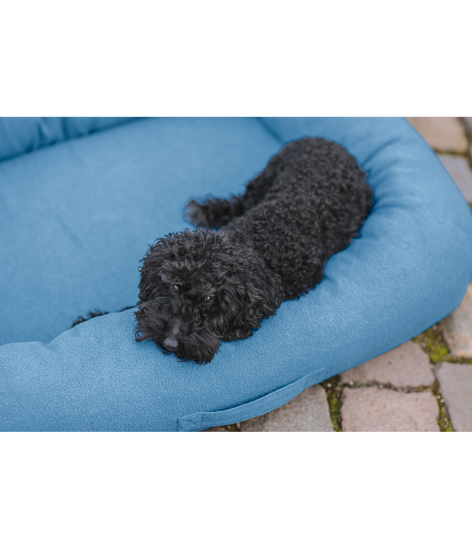 Panier pour chien  Terry