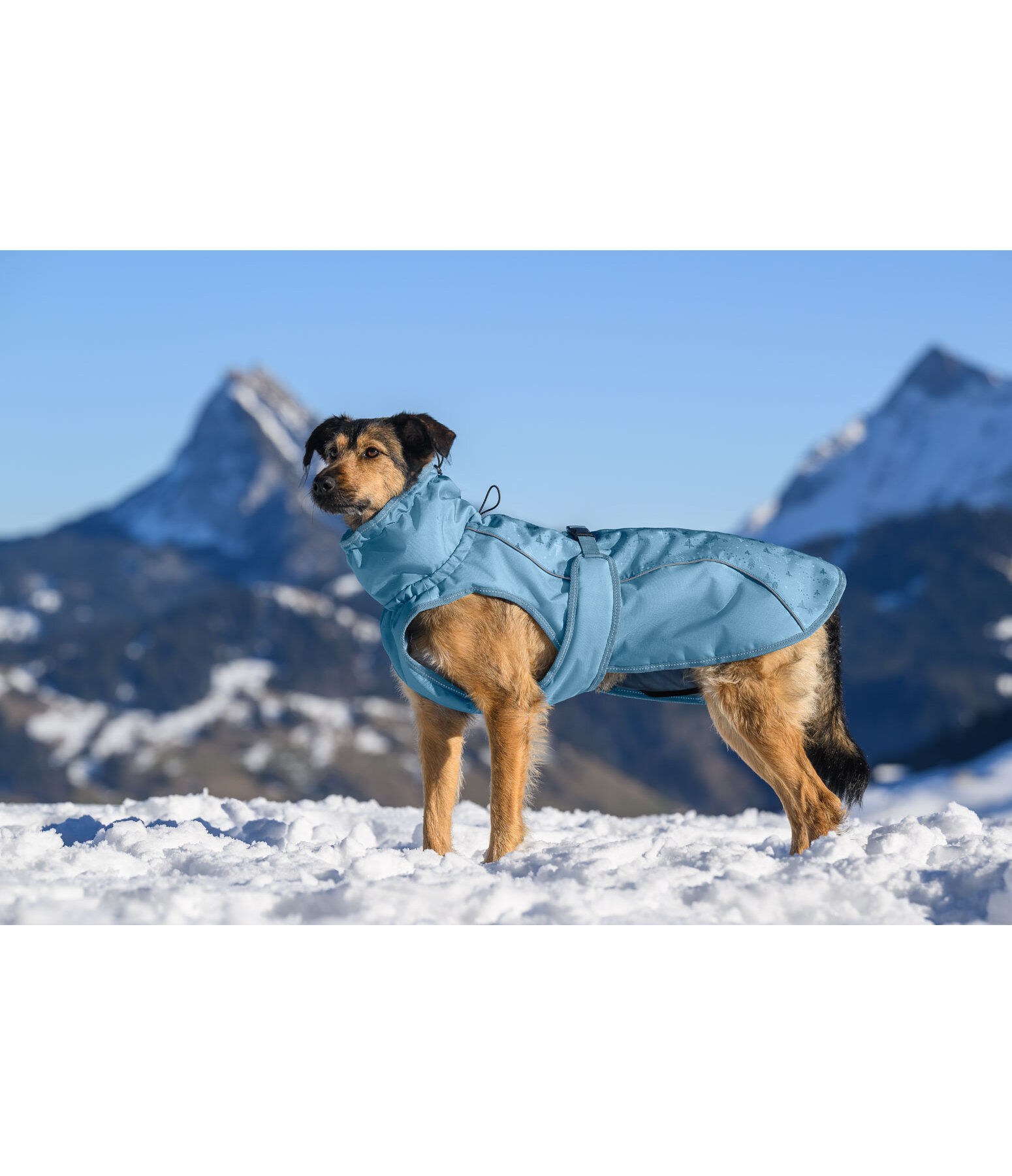 Manteau d'hiver pour chien  Wonderland, 140 g