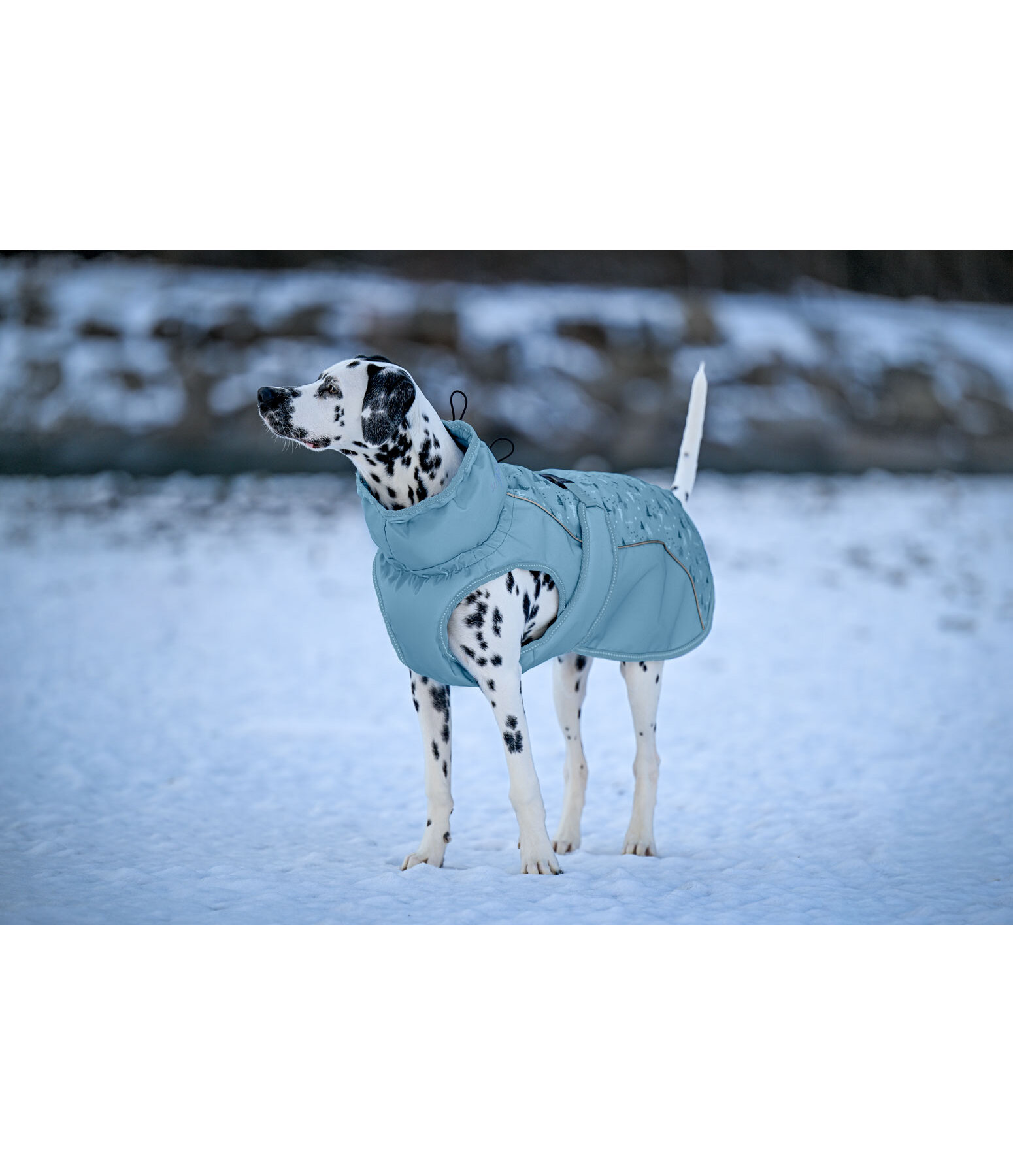 Manteau d'hiver pour chien  Wonderland, 140 g