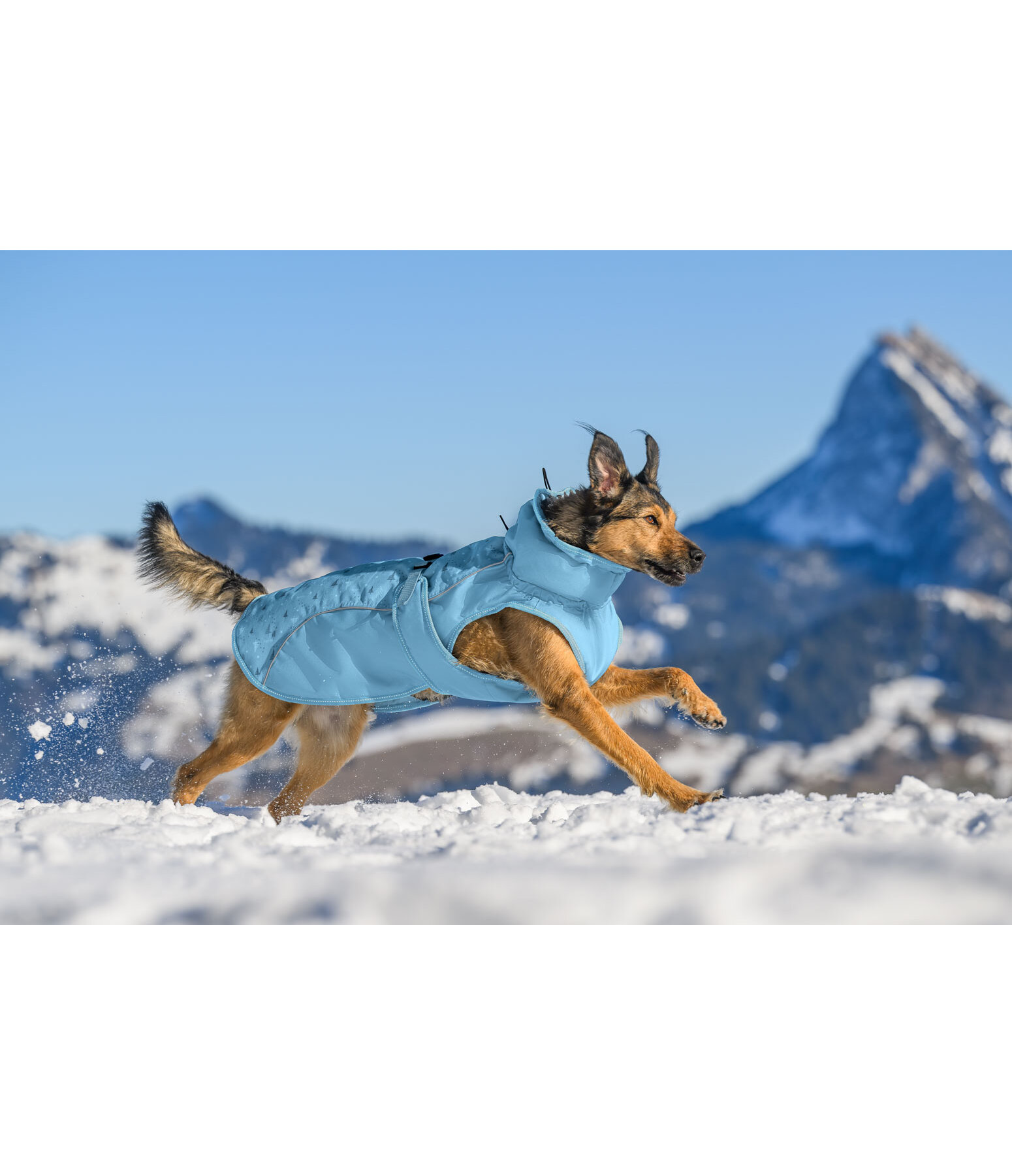 Manteau d'hiver pour chien  Wonderland, 140 g