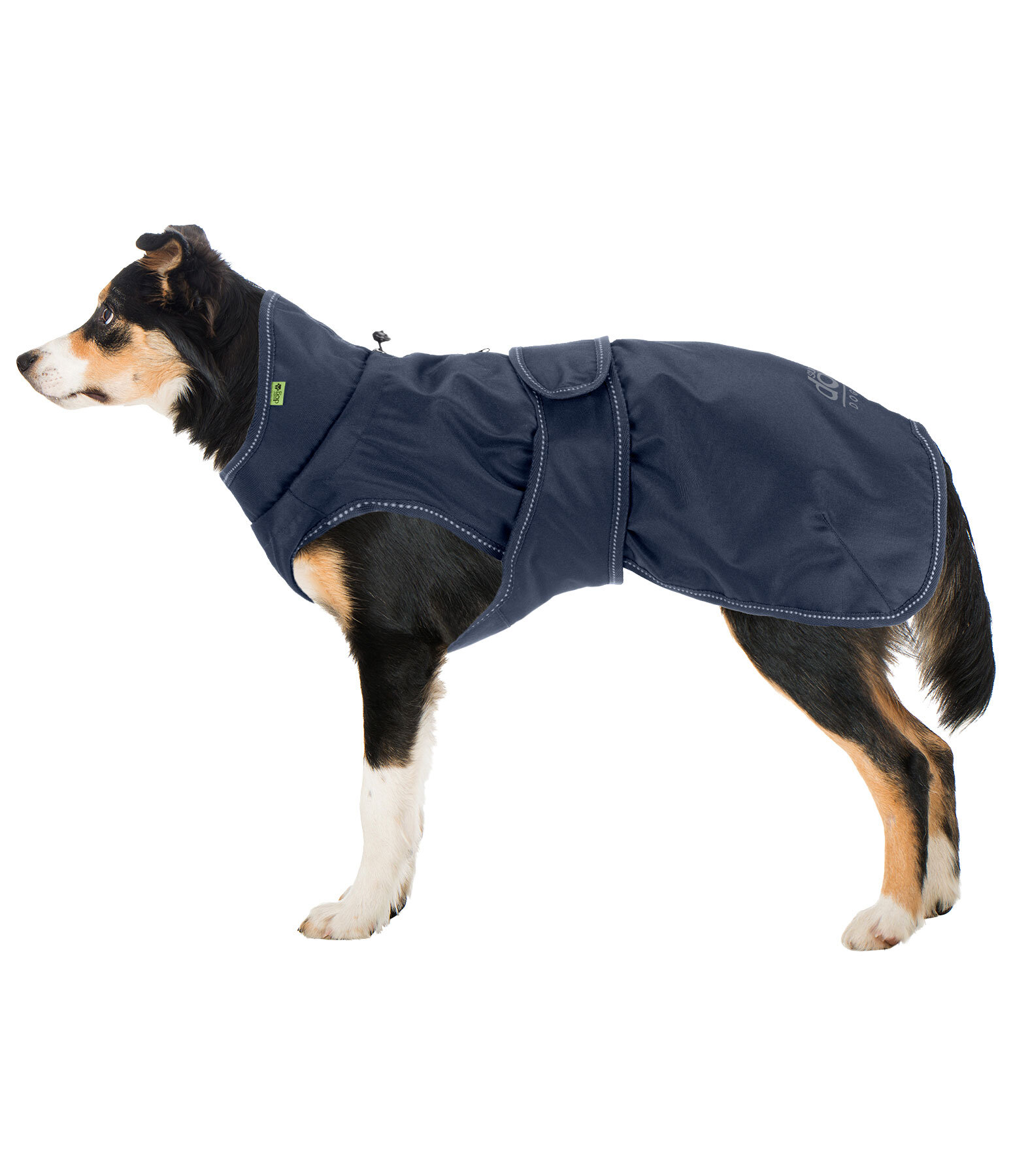 Manteau de pluie pour chien  Forest Drizzle, 50 g