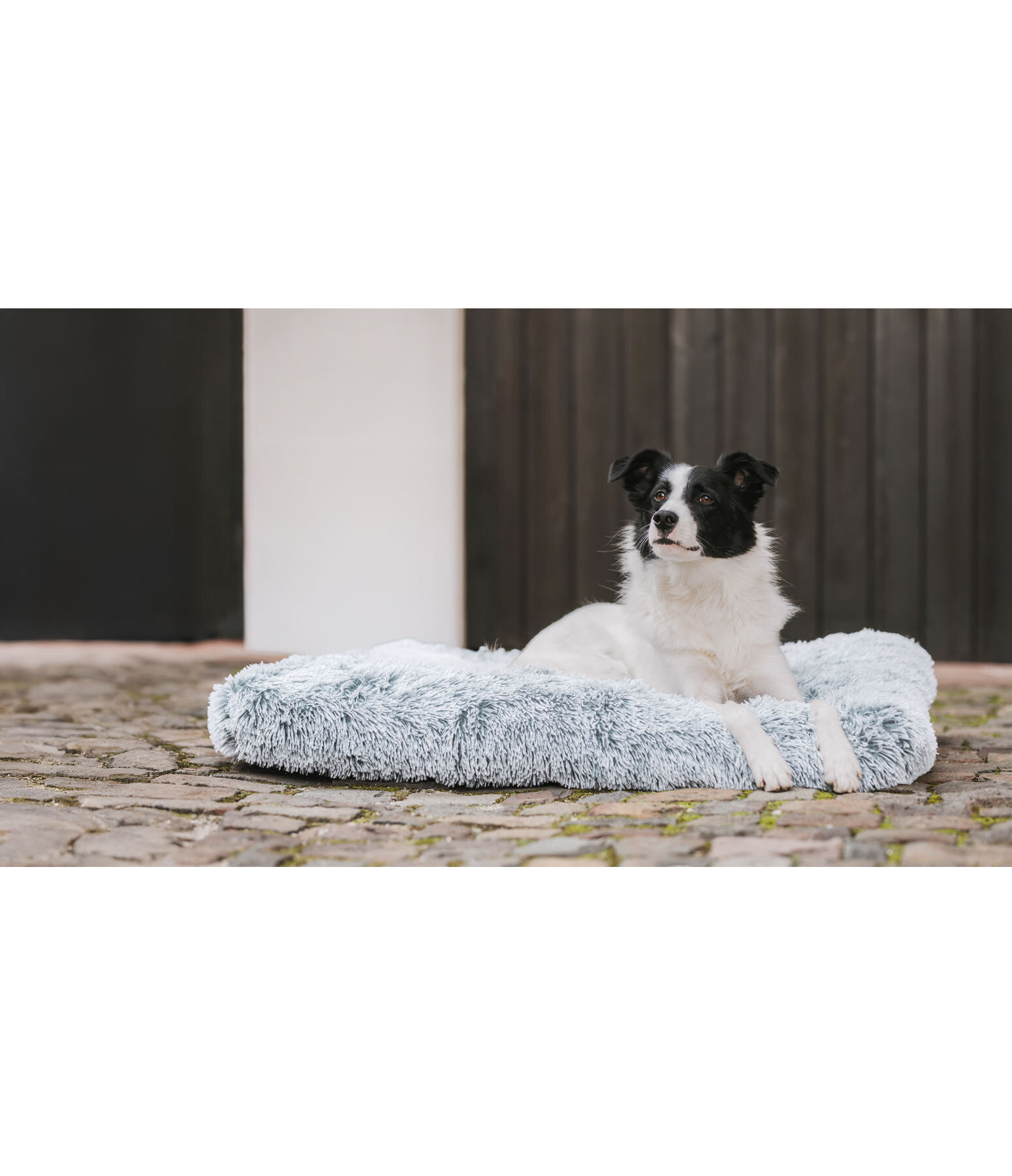 Lit pour chien  Marlie