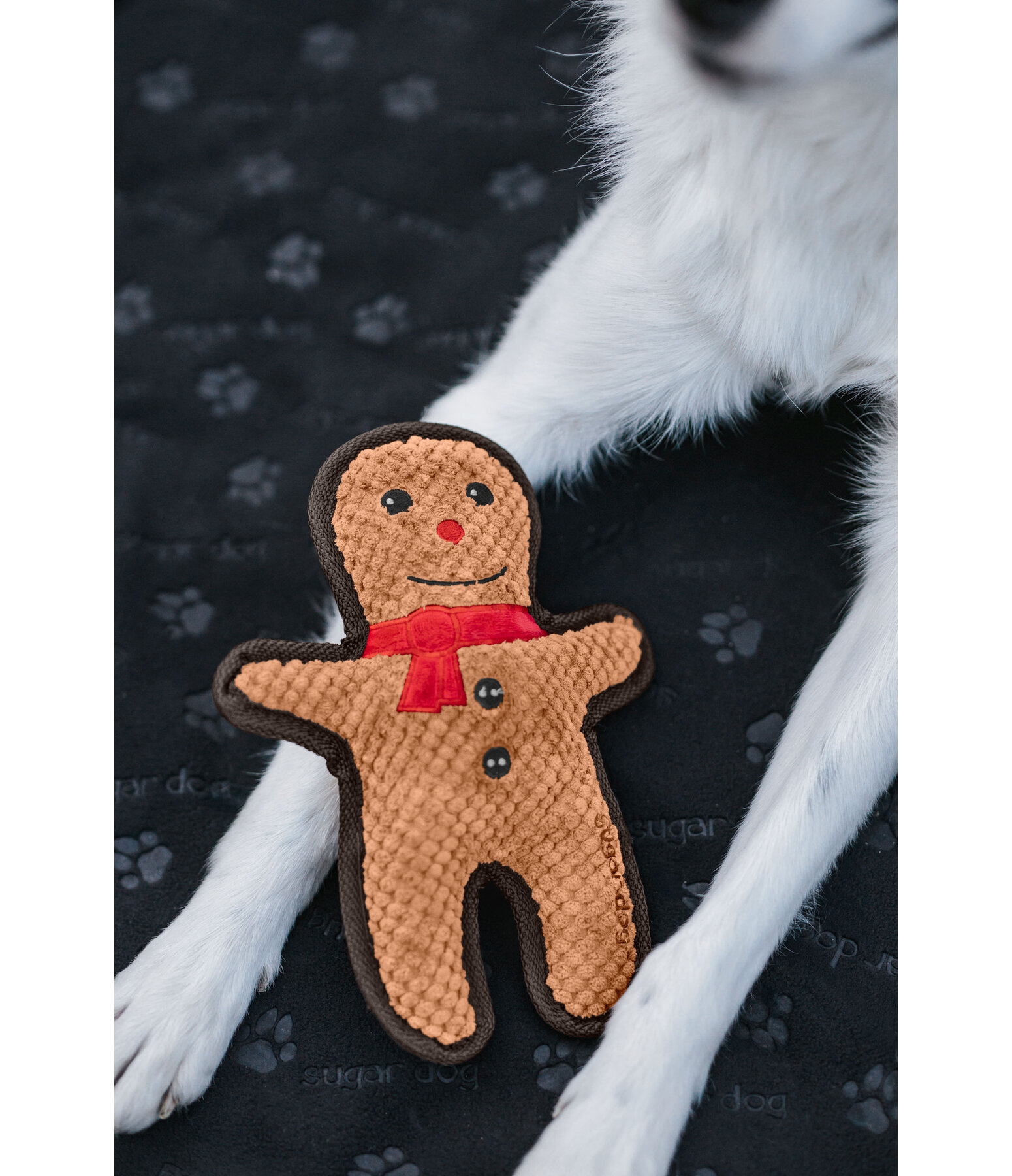 Jouet pour chien  Gingerman