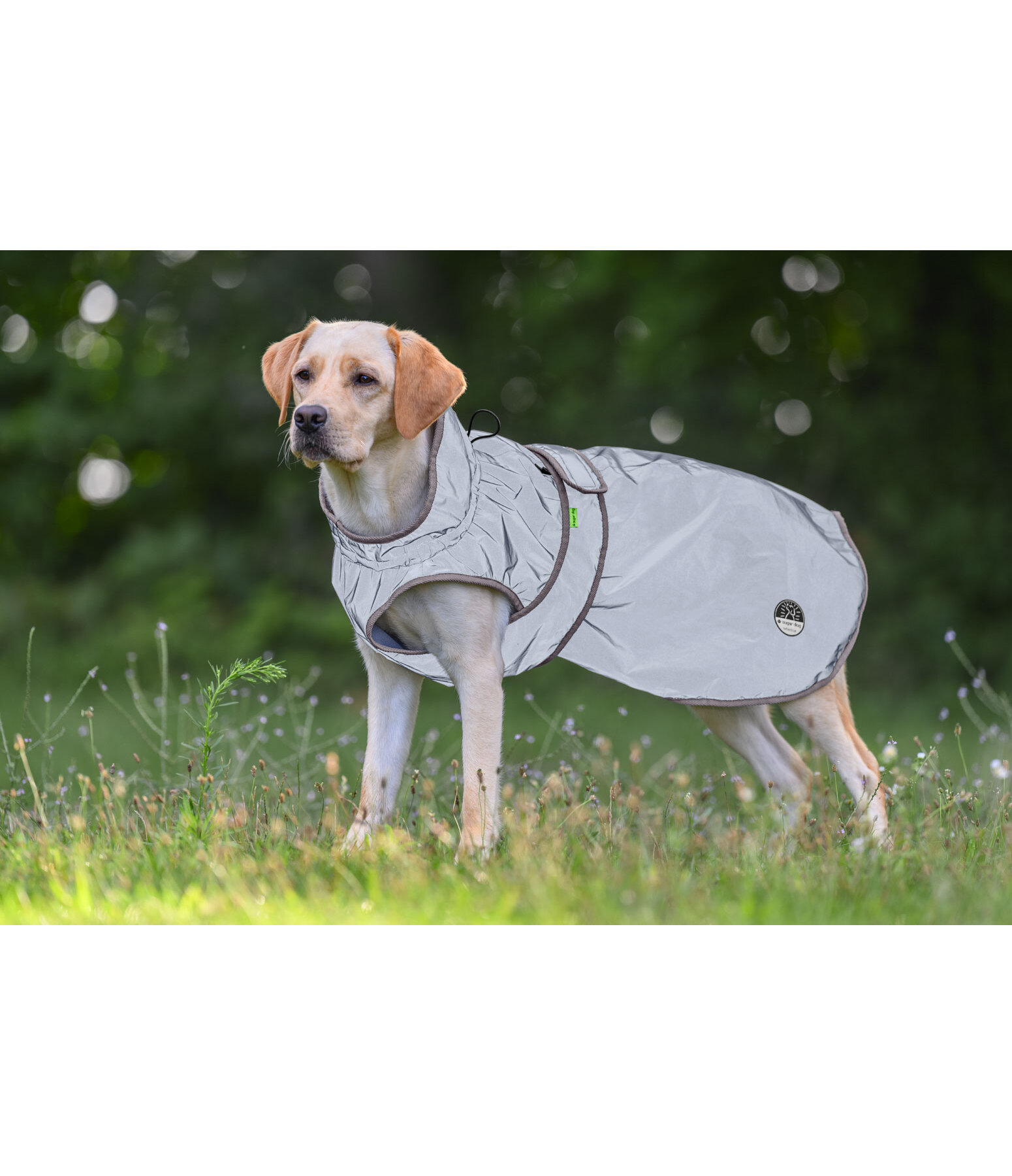 Manteau r�fl�chissant avec doublure polaire  Stay Safe
