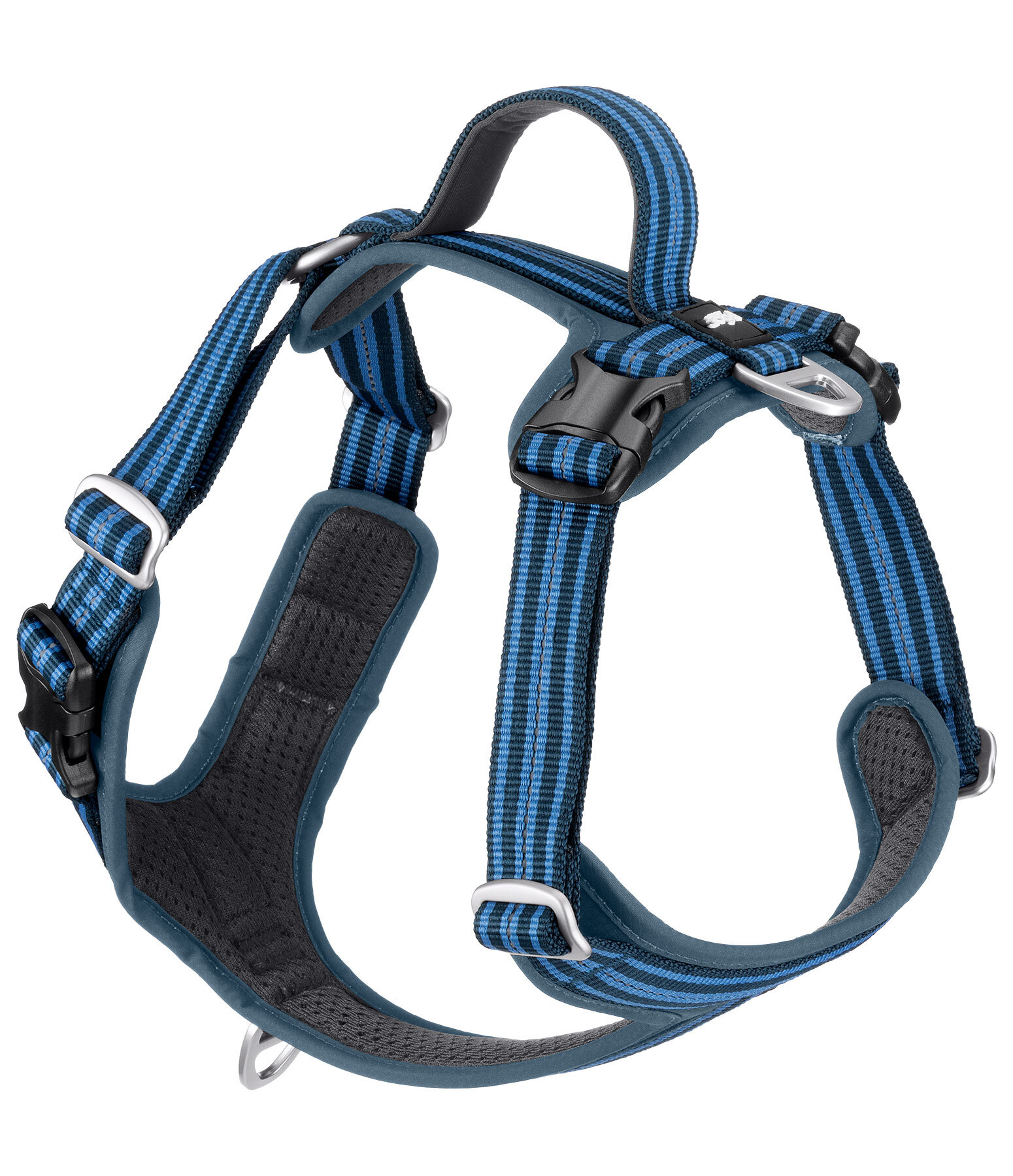 Harnais pour chien  Comfort Fit