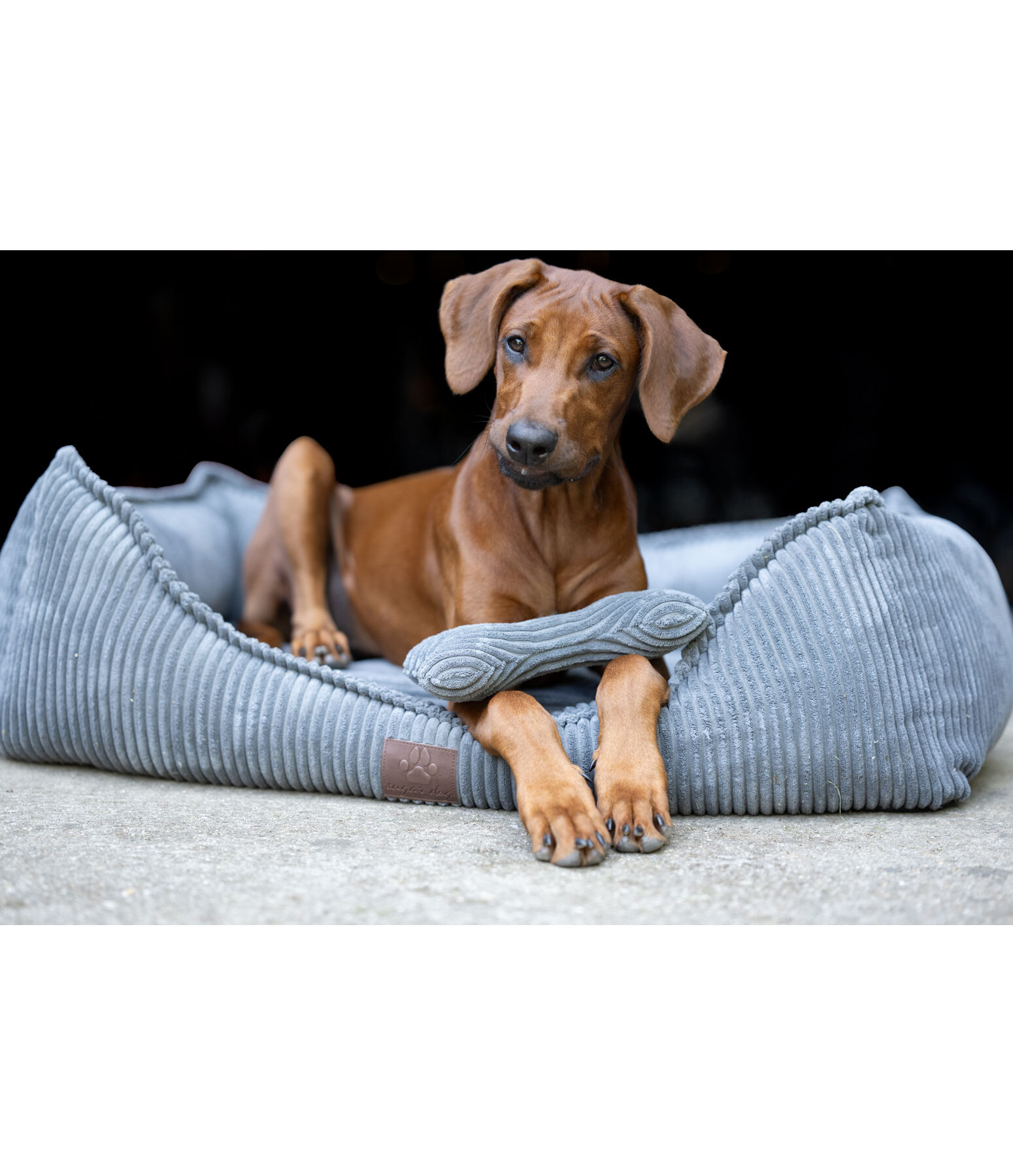 Jouet pour chien  Cord