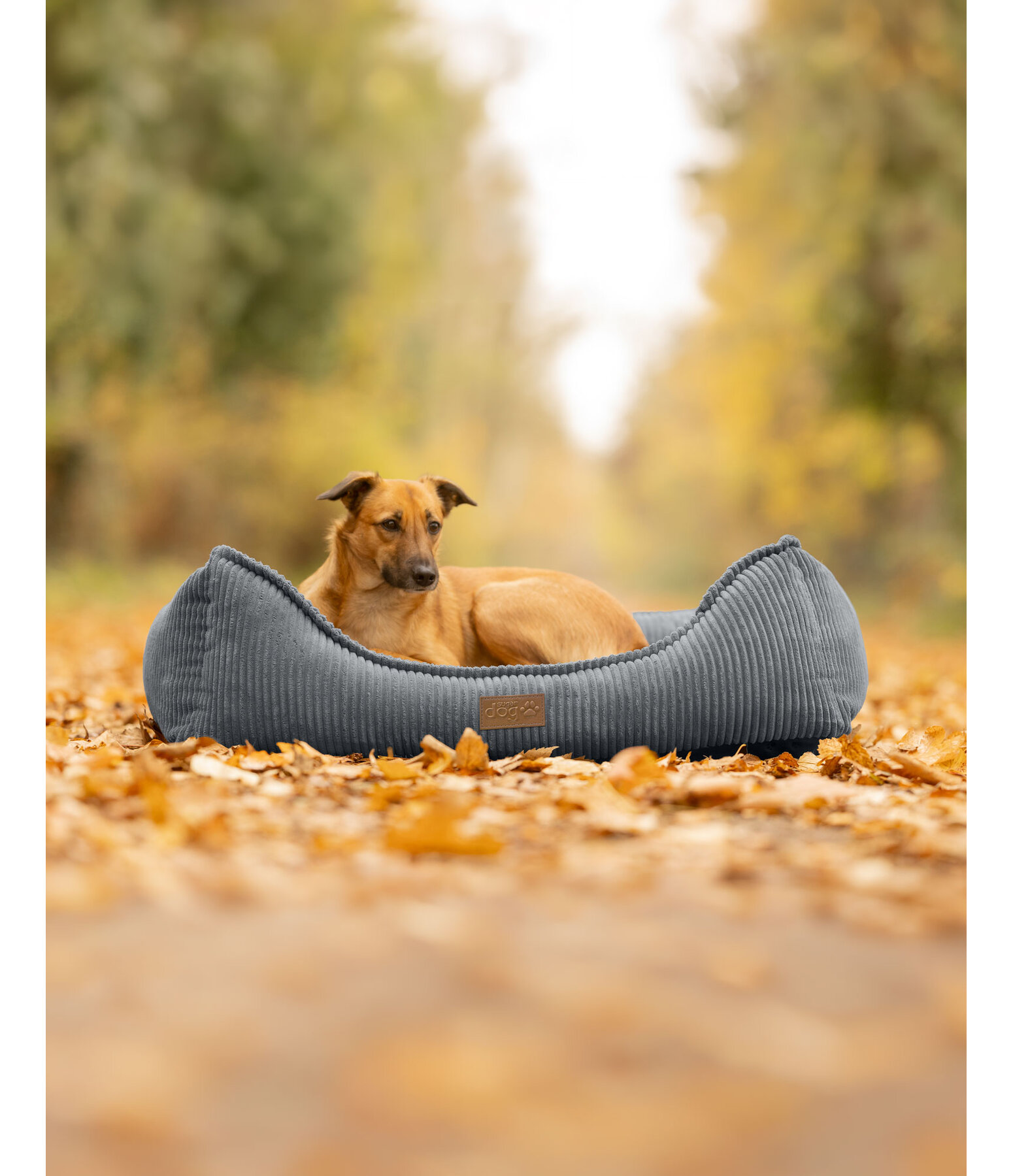 Panier pour chien  Cord