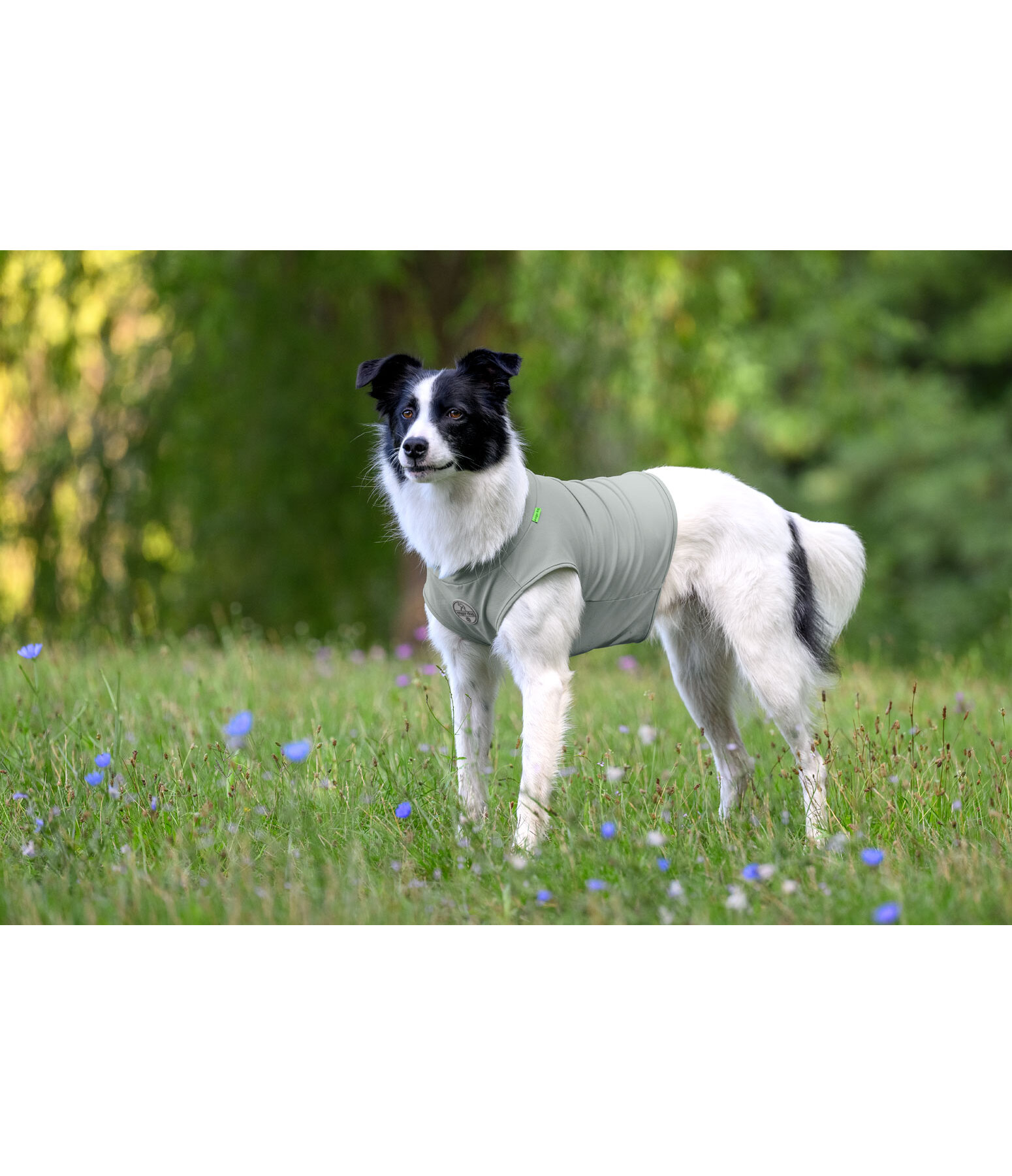 T-shirt rafra�chissant  Frostie