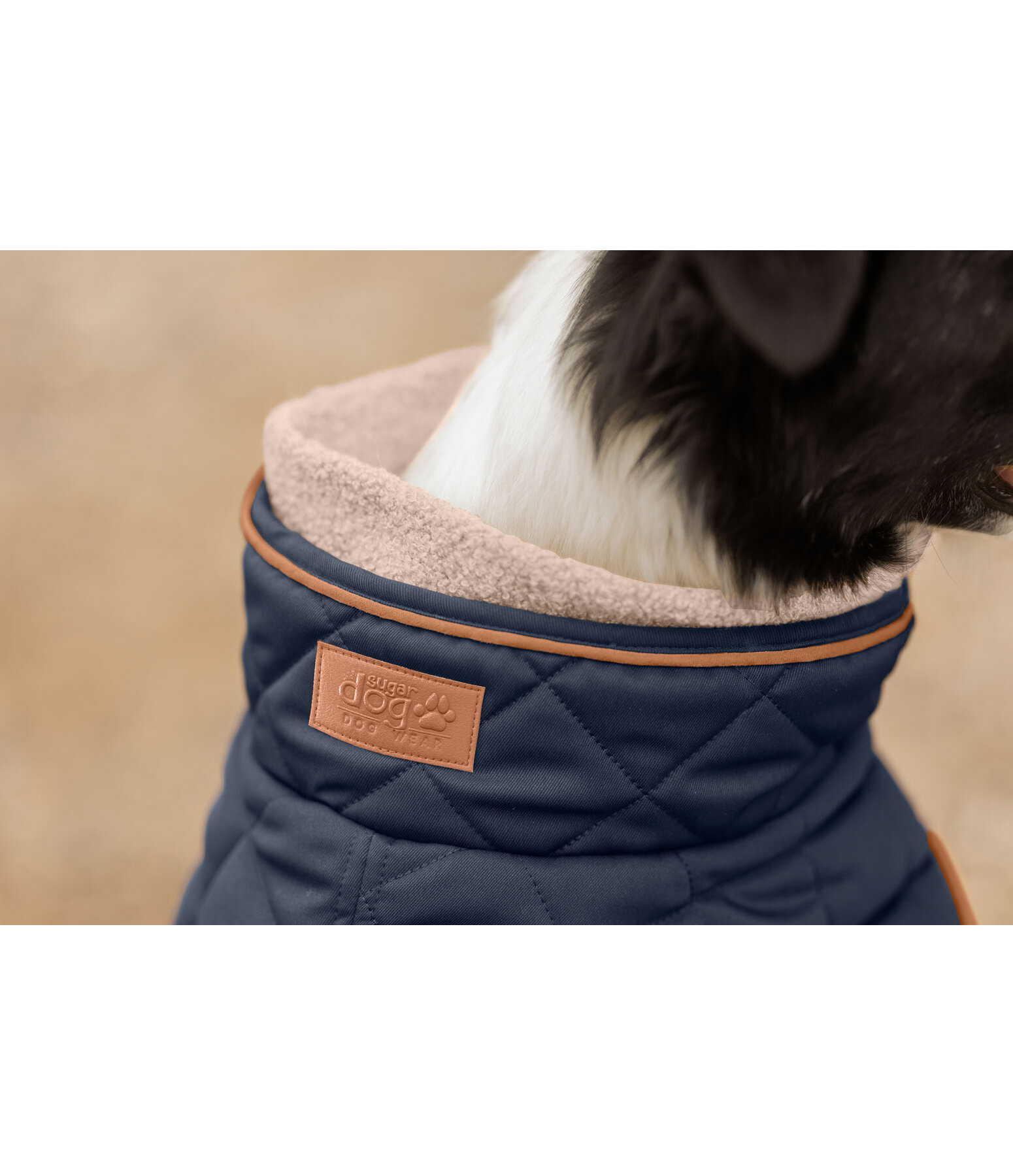 Manteau matelass� pour chien avec doublure en polaire Teddy  Holly