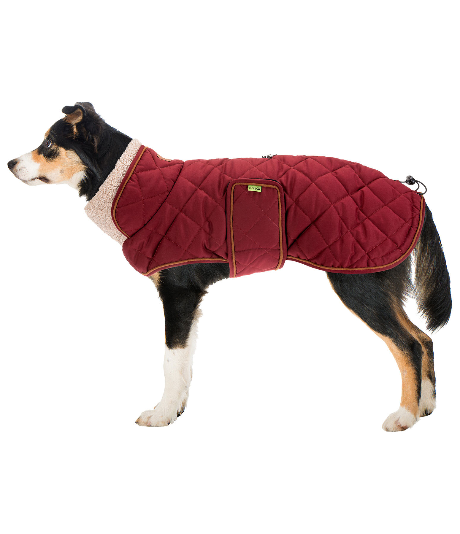 Manteau matelass� pour chien avec doublure en polaire Teddy  Holly
