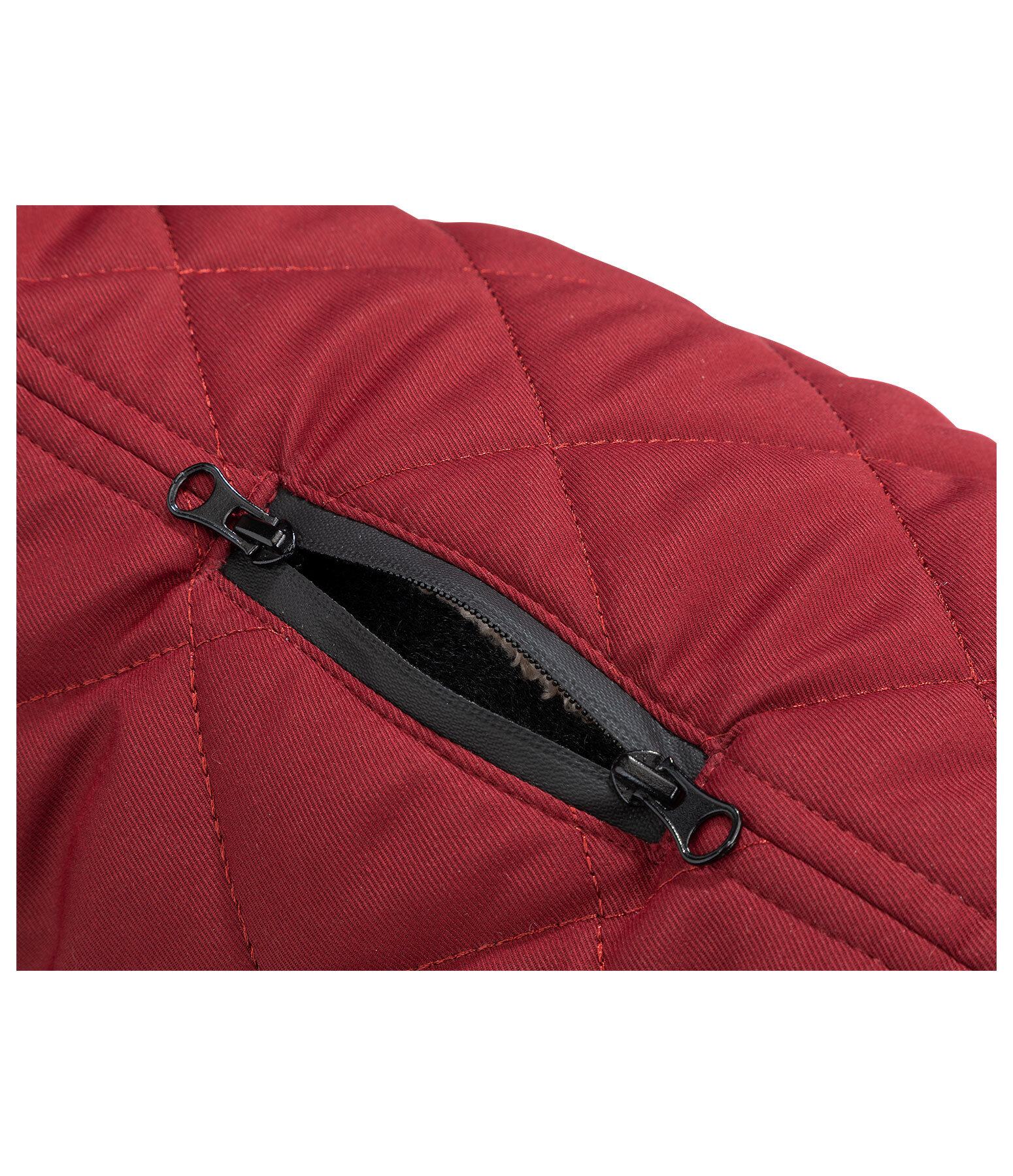 Manteau matelass� pour chien avec doublure en polaire Teddy  Holly
