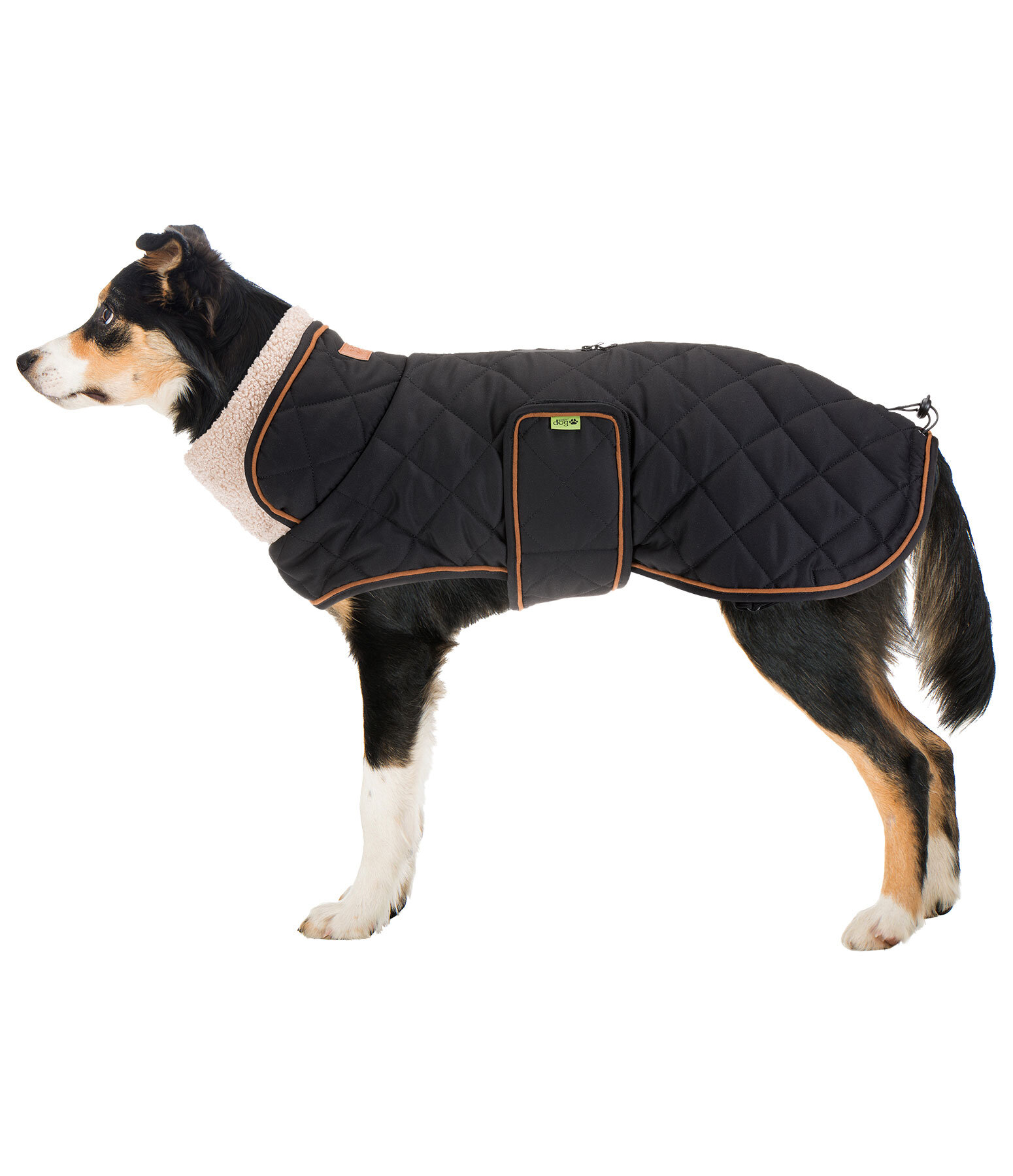 Manteau matelass� pour chien avec doublure en polaire Teddy  Holly