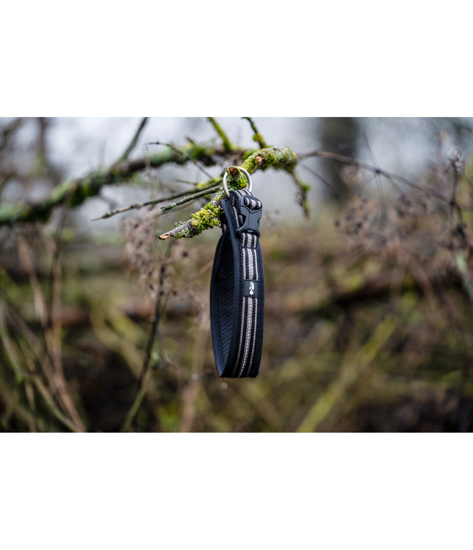 Collier pour chien  Comfort Fit