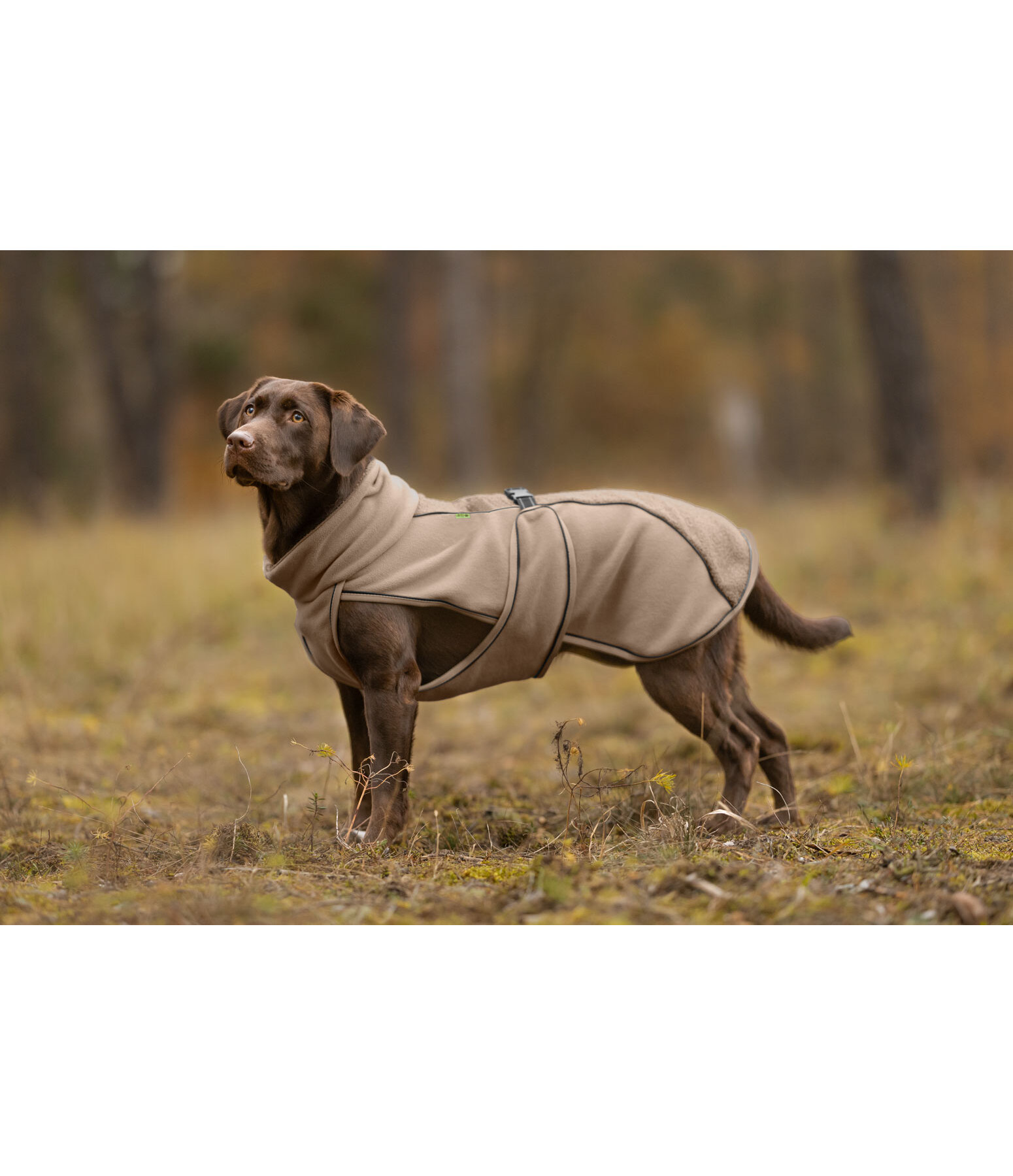 Manteau pour chien en polaire Teddy  Frido