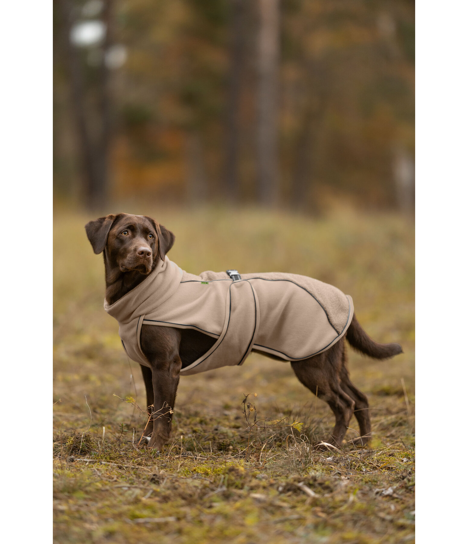 Manteau pour chien en polaire Teddy  Frido