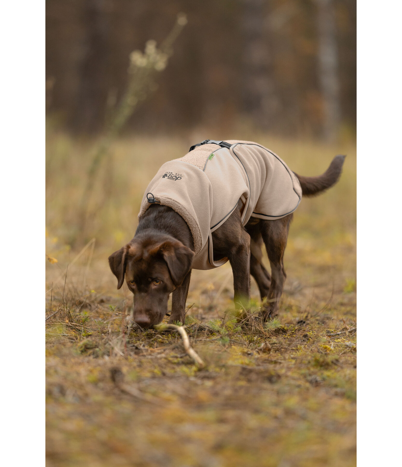 Manteau pour chien en polaire Teddy  Frido