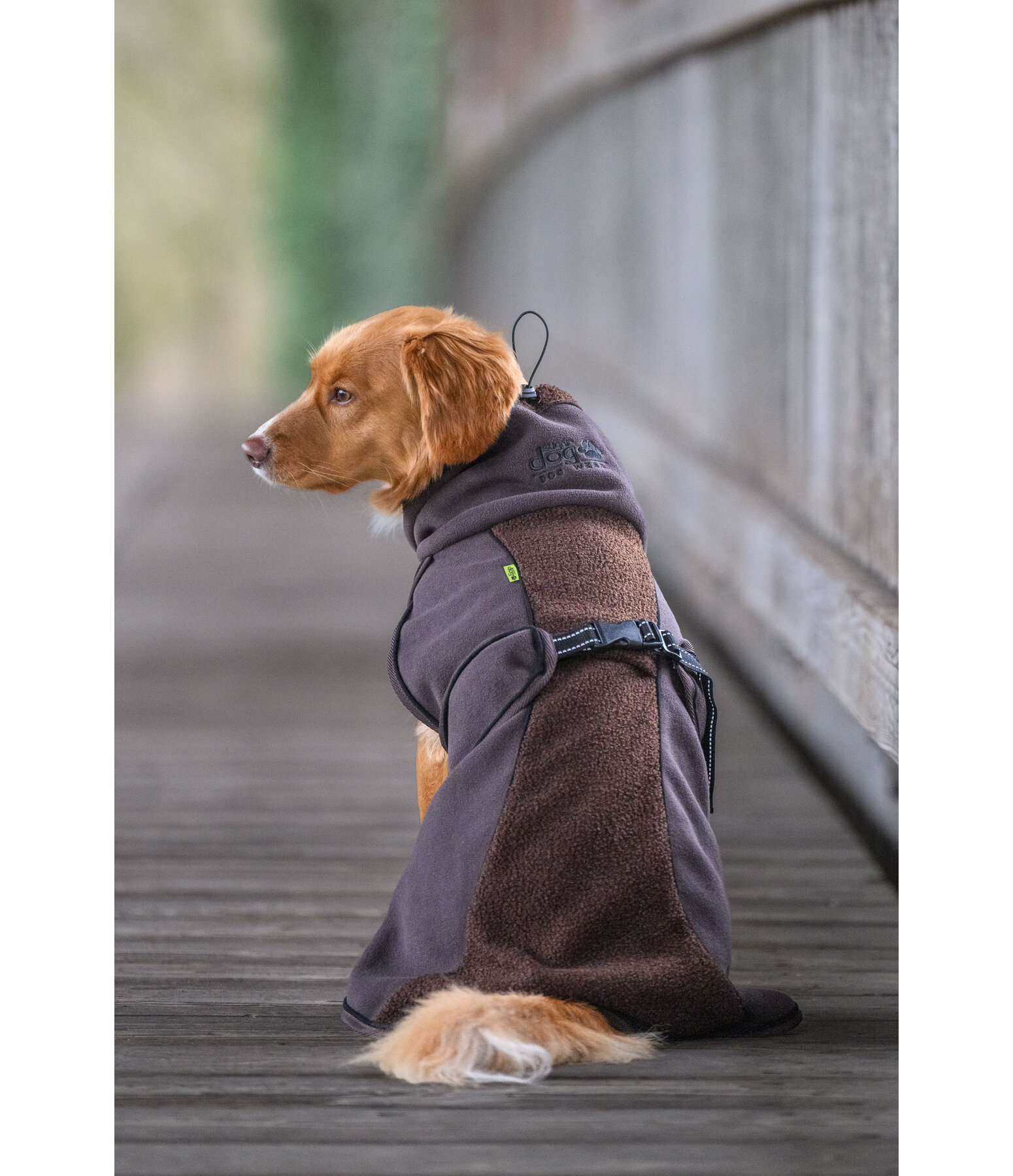 Manteau pour chien en polaire Teddy  Frido