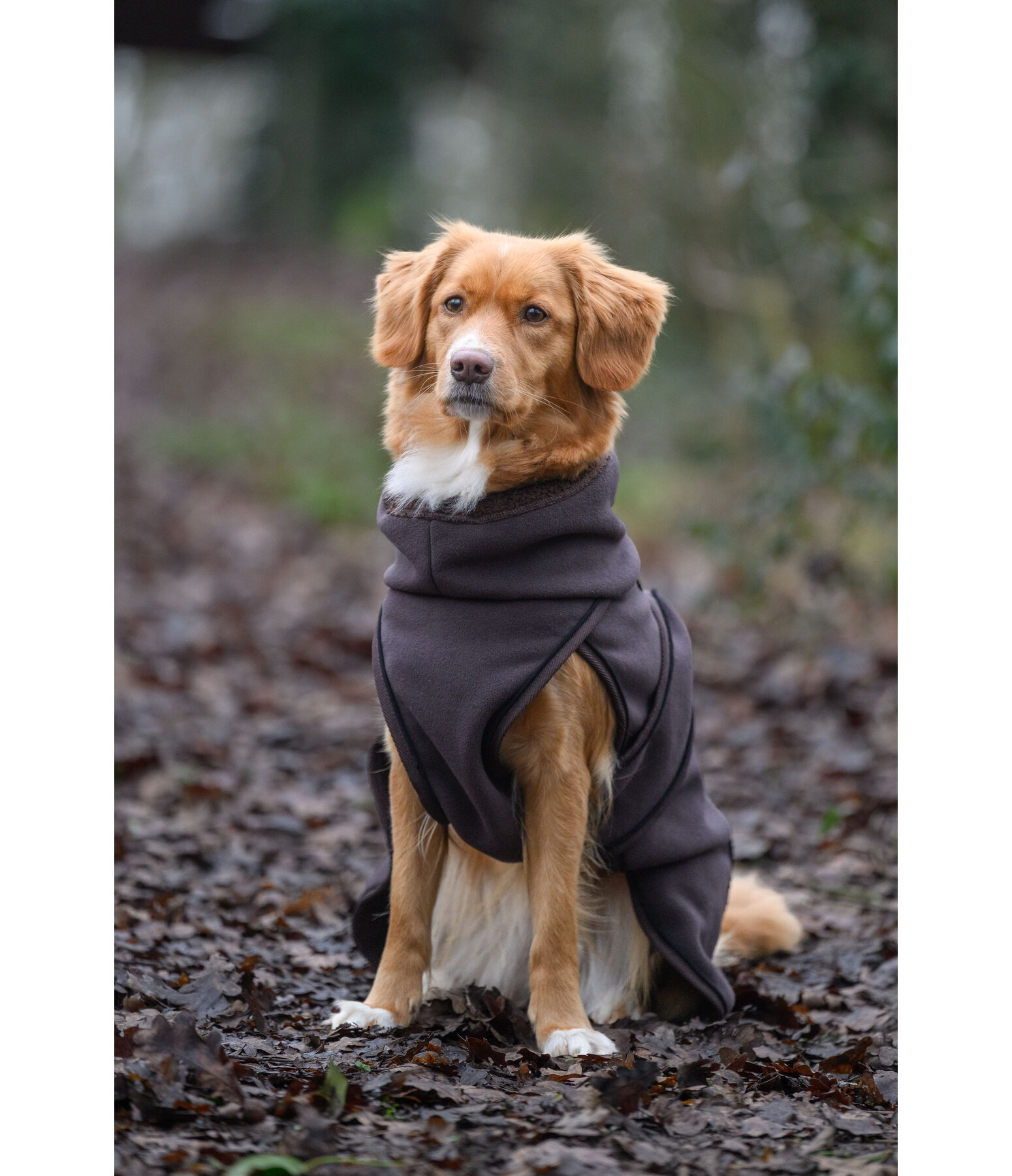 Manteau pour chien en polaire Teddy  Frido