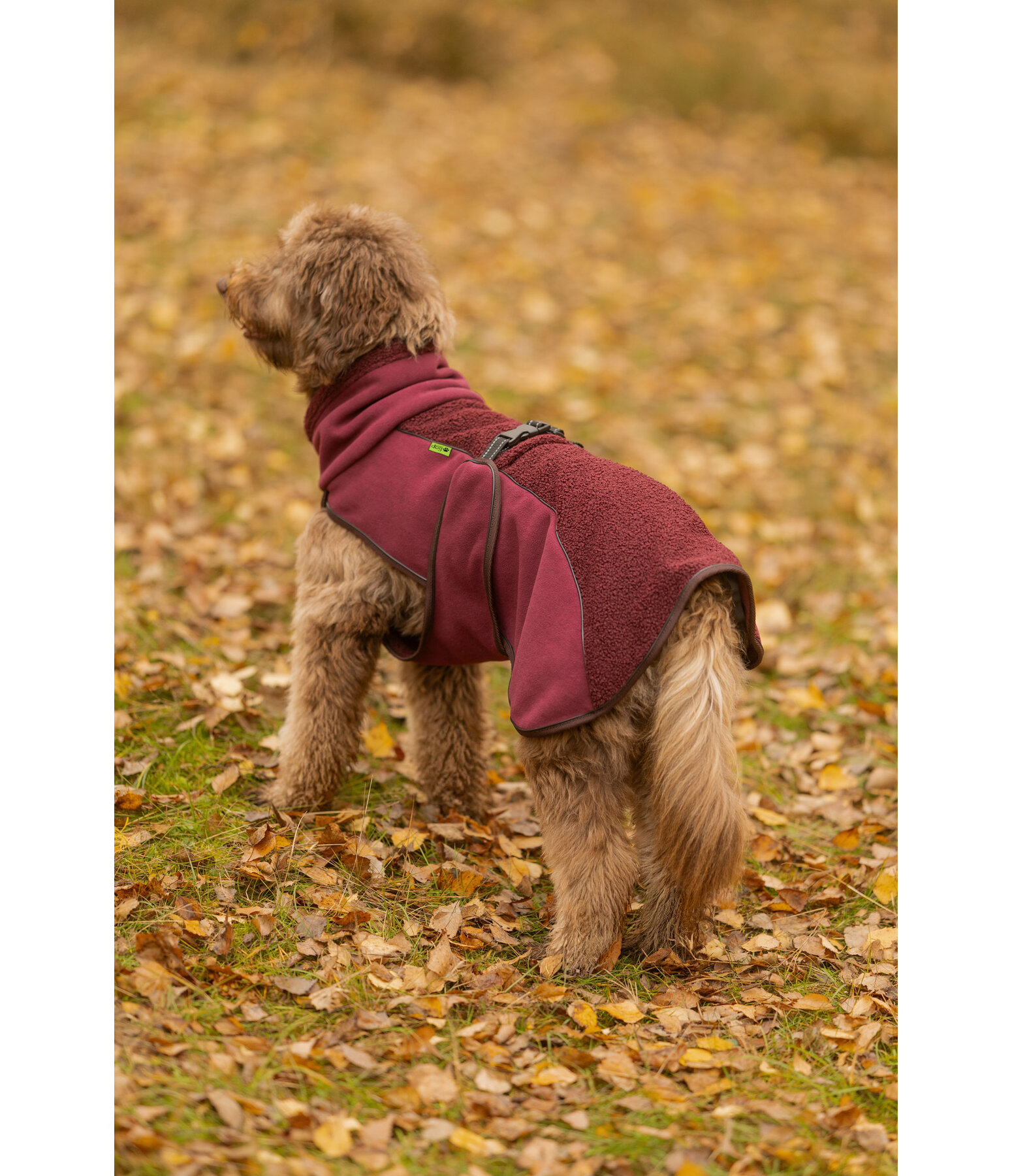 Manteau pour chien en polaire Teddy  Frido