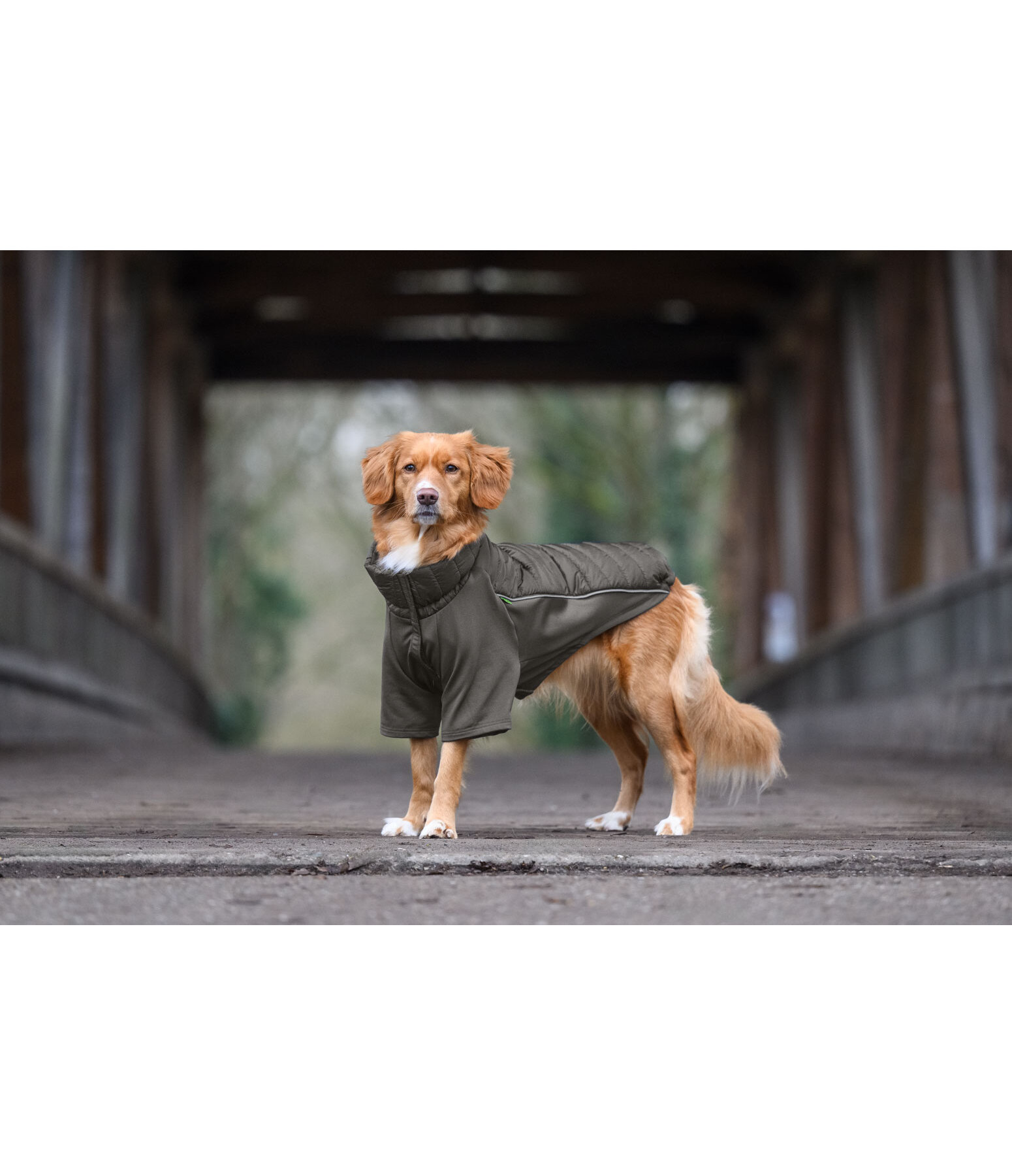 Manteau combinaison  Performance-Stretch Baldo, 160g