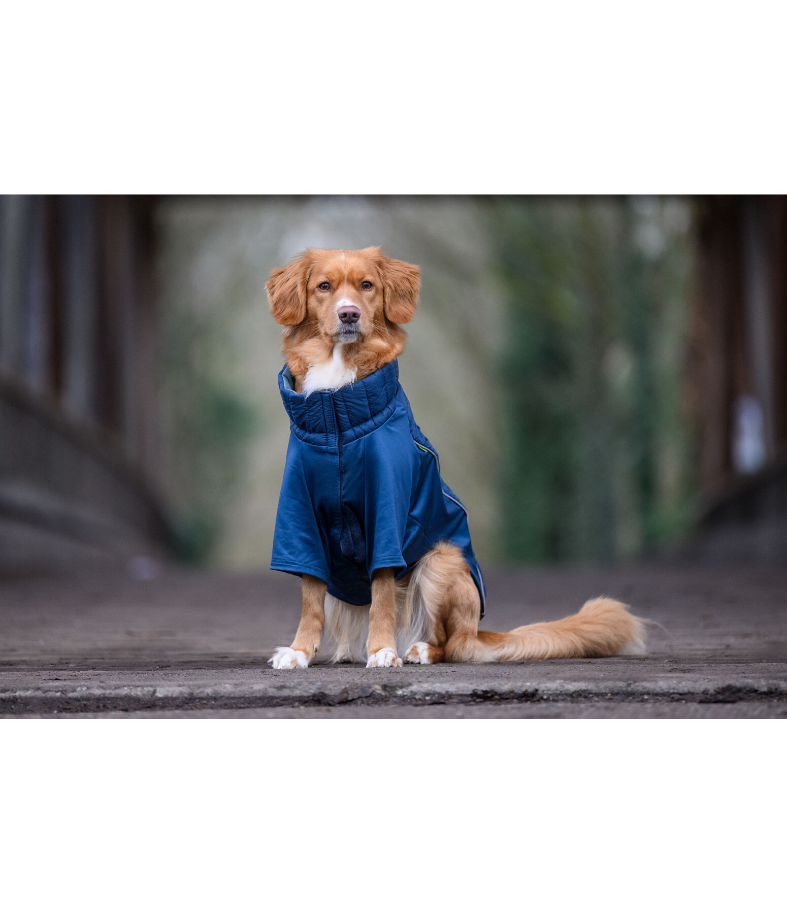 Manteau combinaison  Performance-Stretch Baldo, 160g