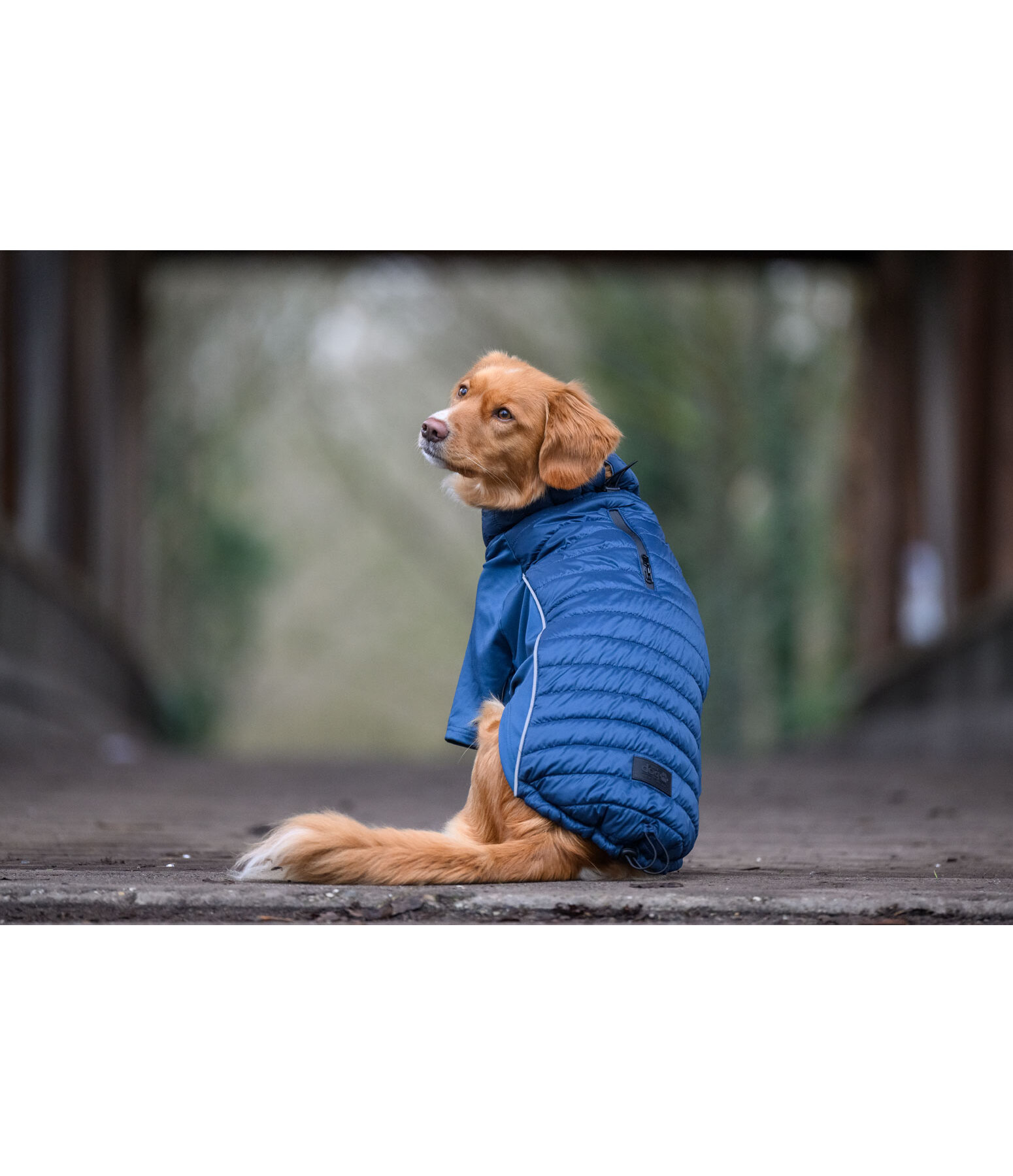 Manteau combinaison  Performance-Stretch Baldo, 160g