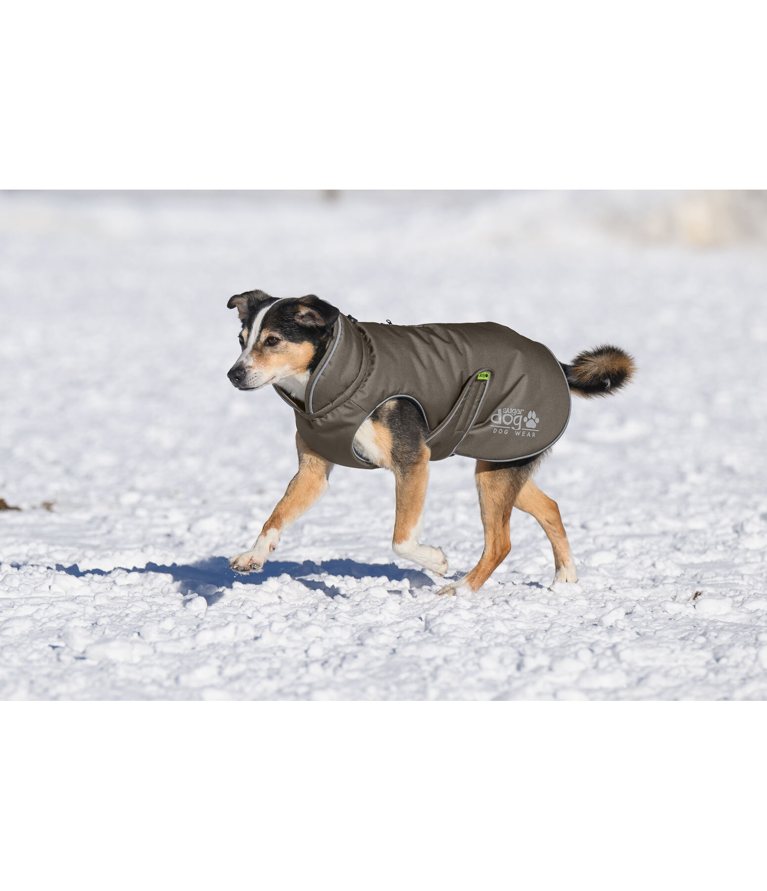 Manteau d'hiver pour chien  Archie Snow Drift, 200 g