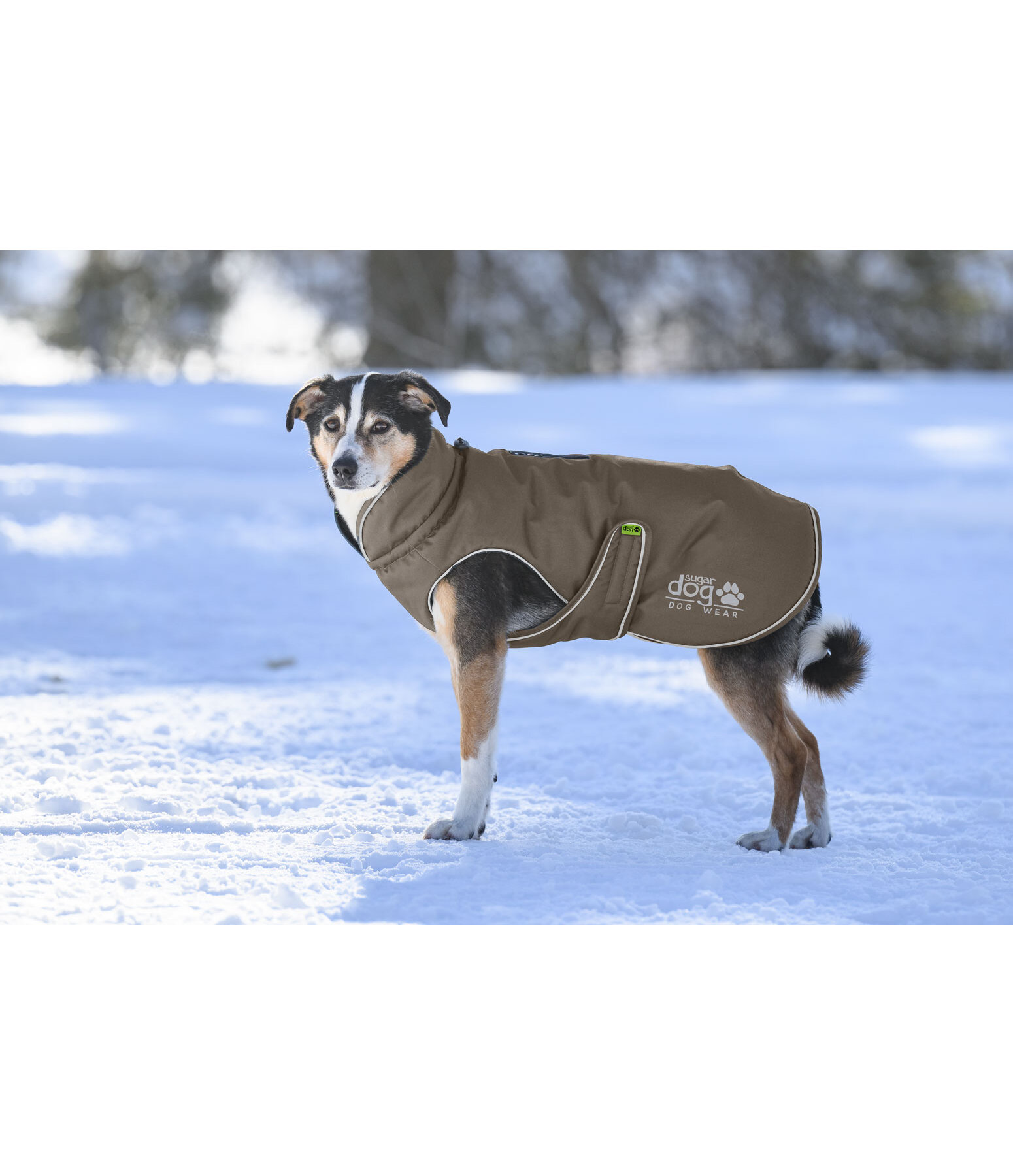 Manteau d'hiver pour chien  Archie Snow Drift, 200 g