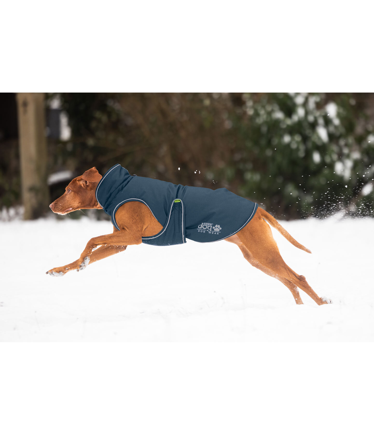 Manteau d'hiver pour chien  Archie Snow Drift, 200 g