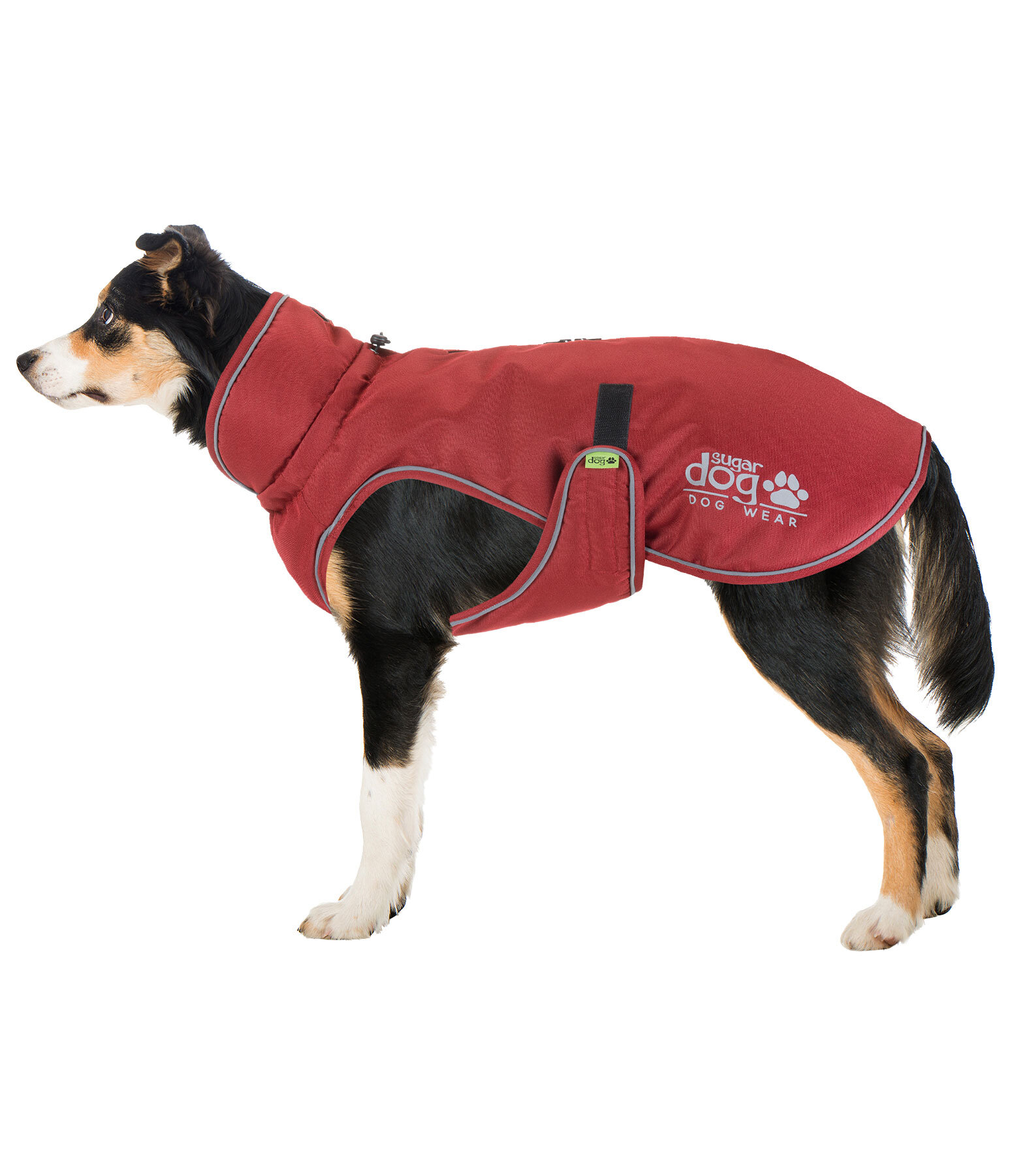 Manteau d'hiver pour chien  Archie Snow Drift, 200 g
